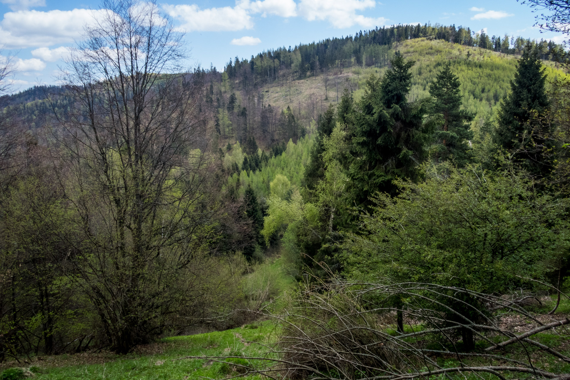 Holý vrch a Bukovec zo Švedlára (Volovské vrchy)