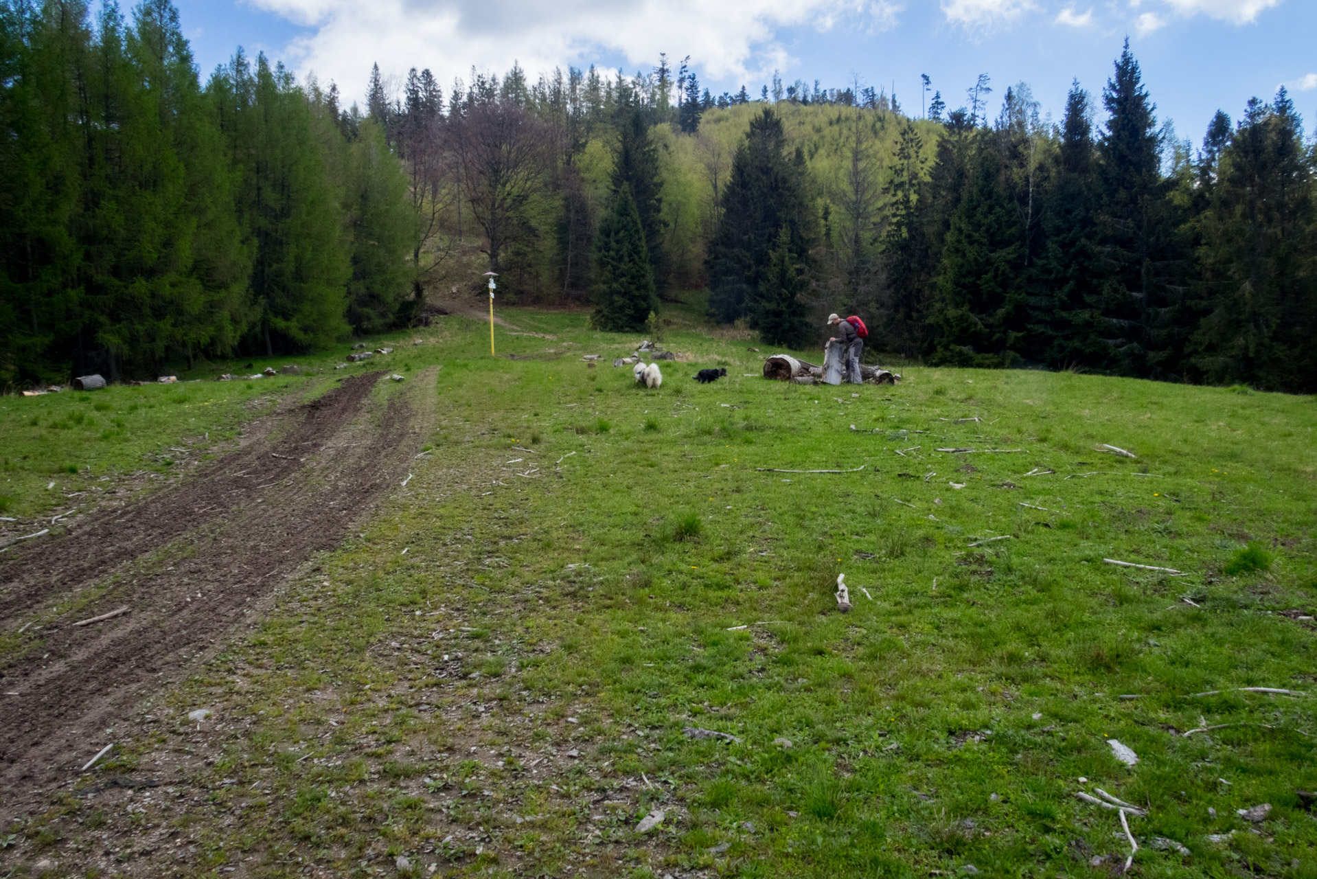 Holý vrch a Bukovec zo Švedlára (Volovské vrchy)