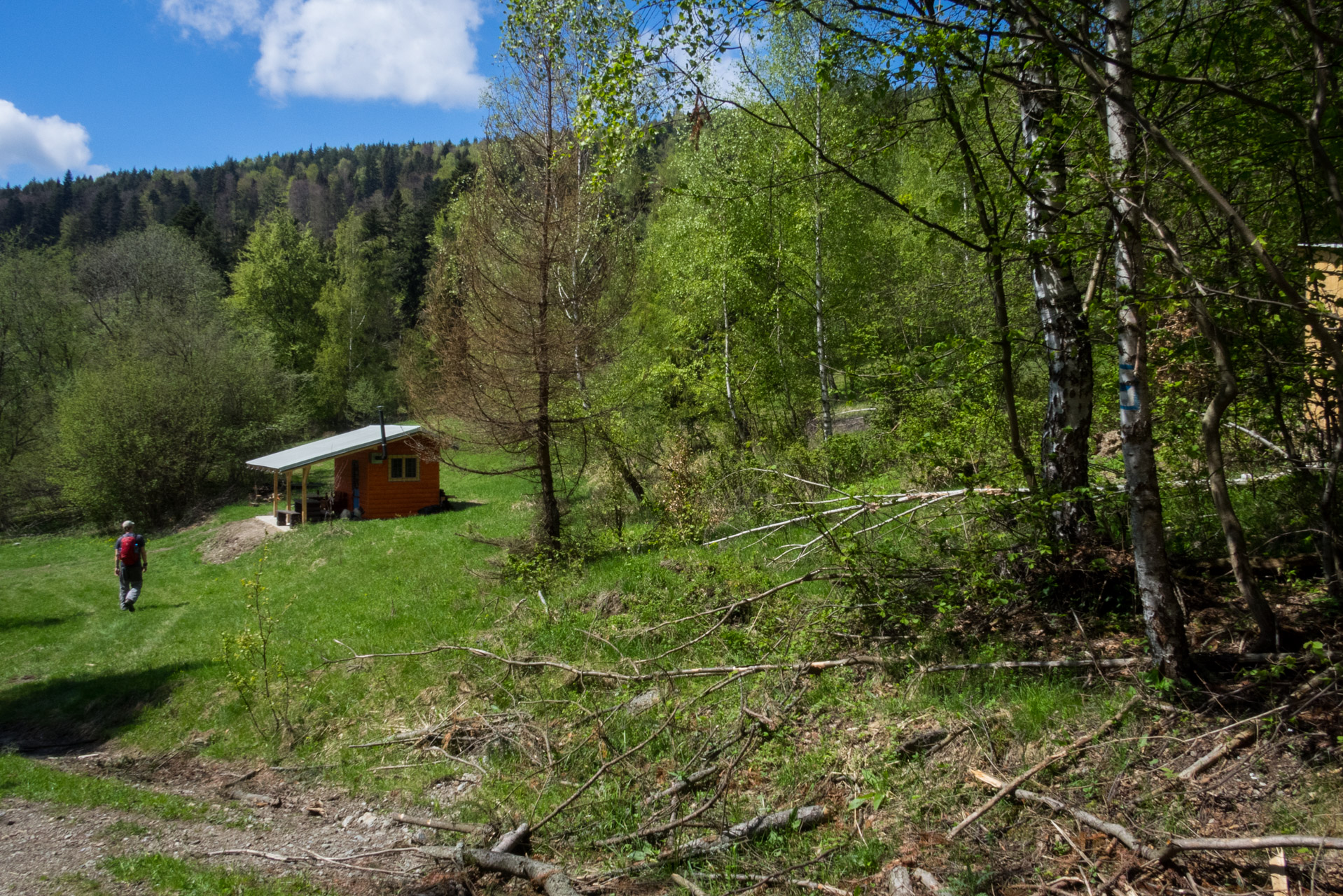 Holý vrch a Bukovec zo Švedlára (Volovské vrchy)