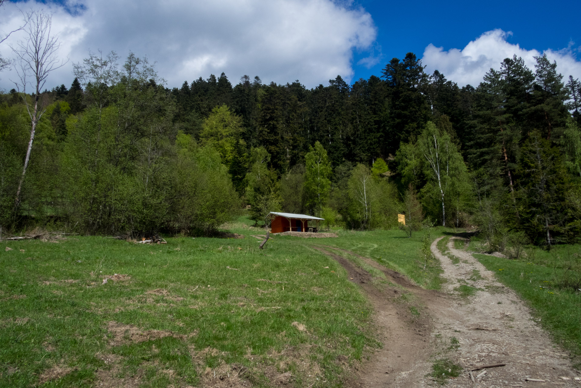 Holý vrch a Bukovec zo Švedlára (Volovské vrchy)