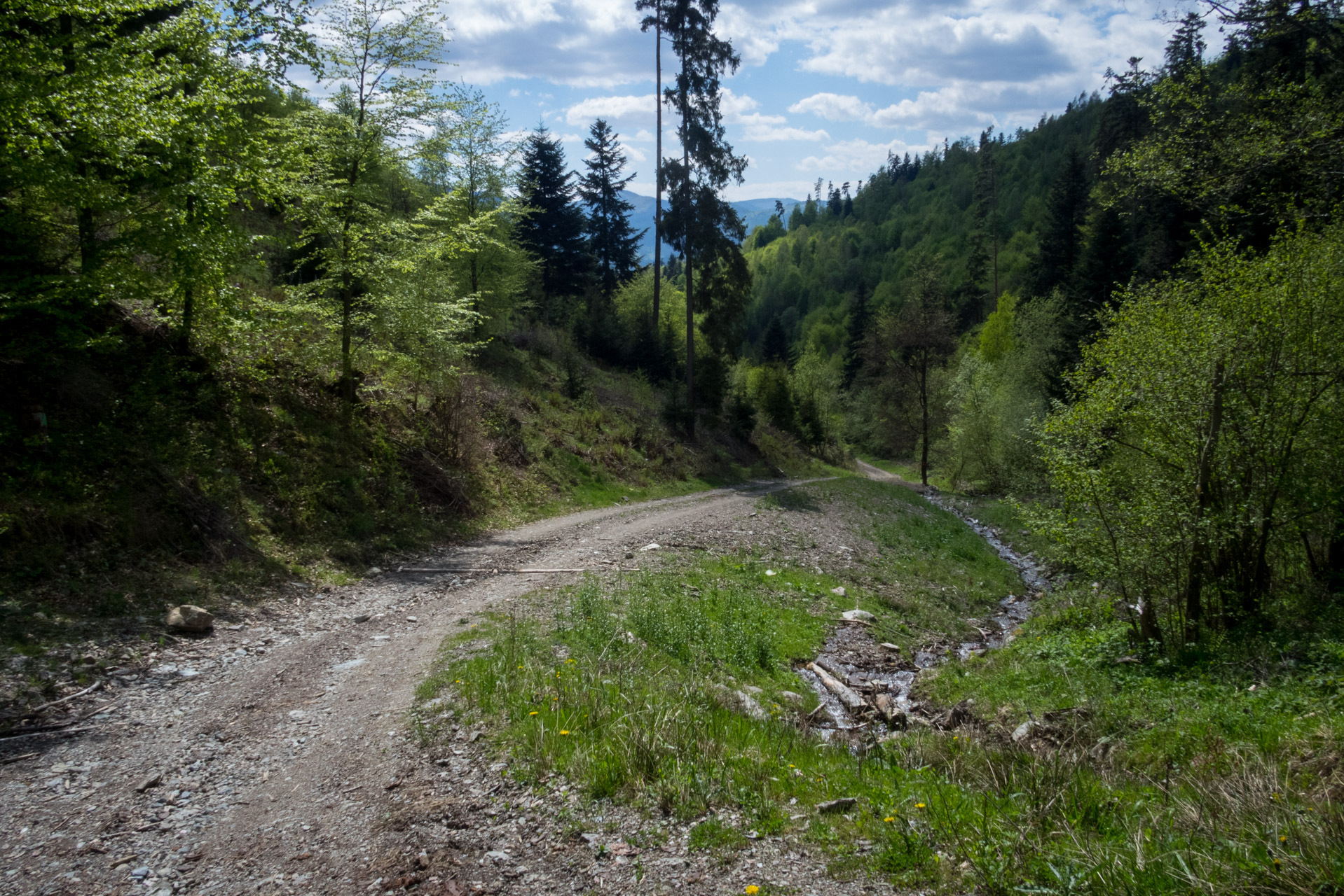 Holý vrch a Bukovec zo Švedlára (Volovské vrchy)