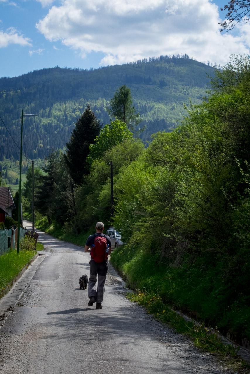 Holý vrch a Bukovec zo Švedlára (Volovské vrchy)