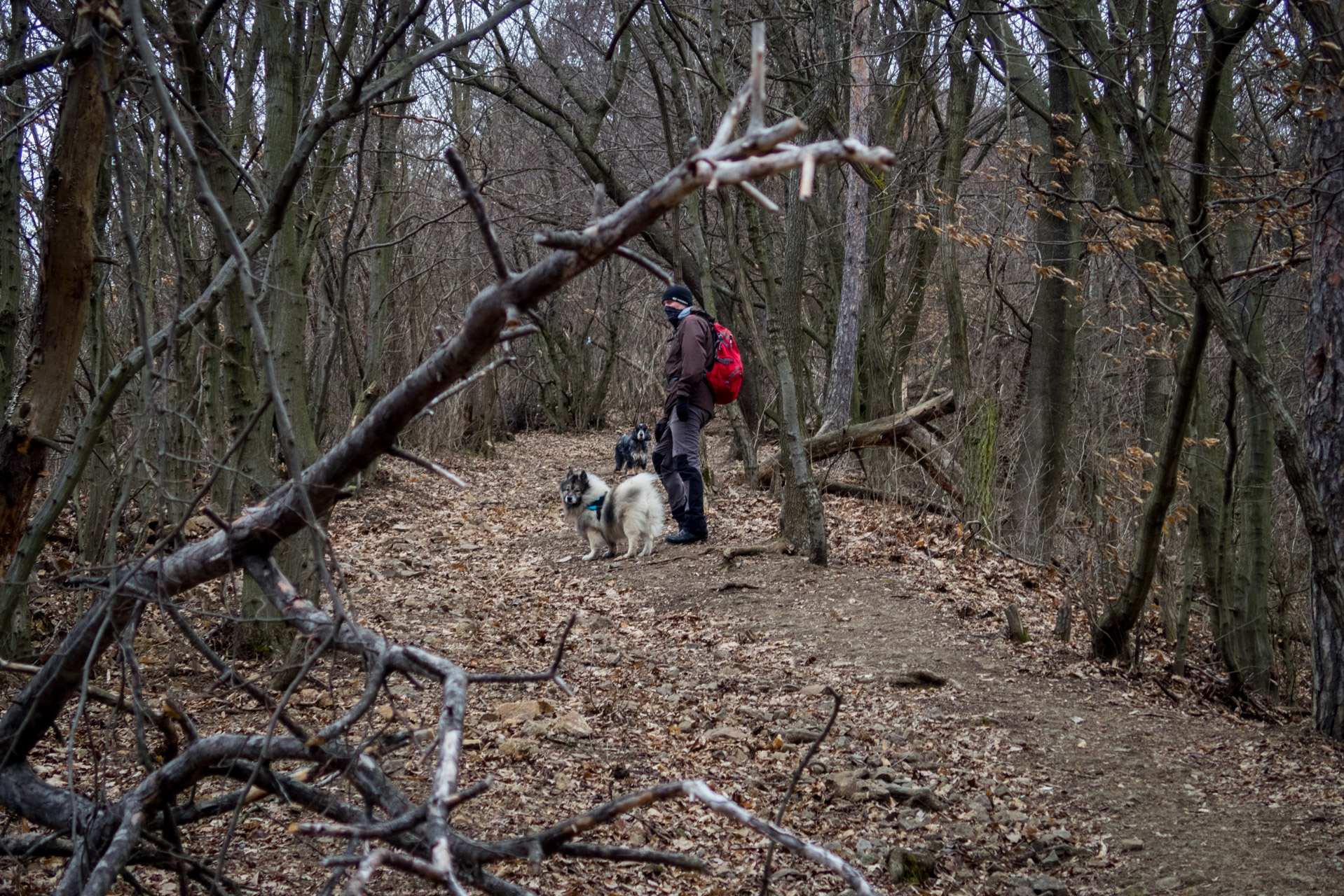 Kapušiansky hrad a hradný vrch z Kapušian (Šariš)