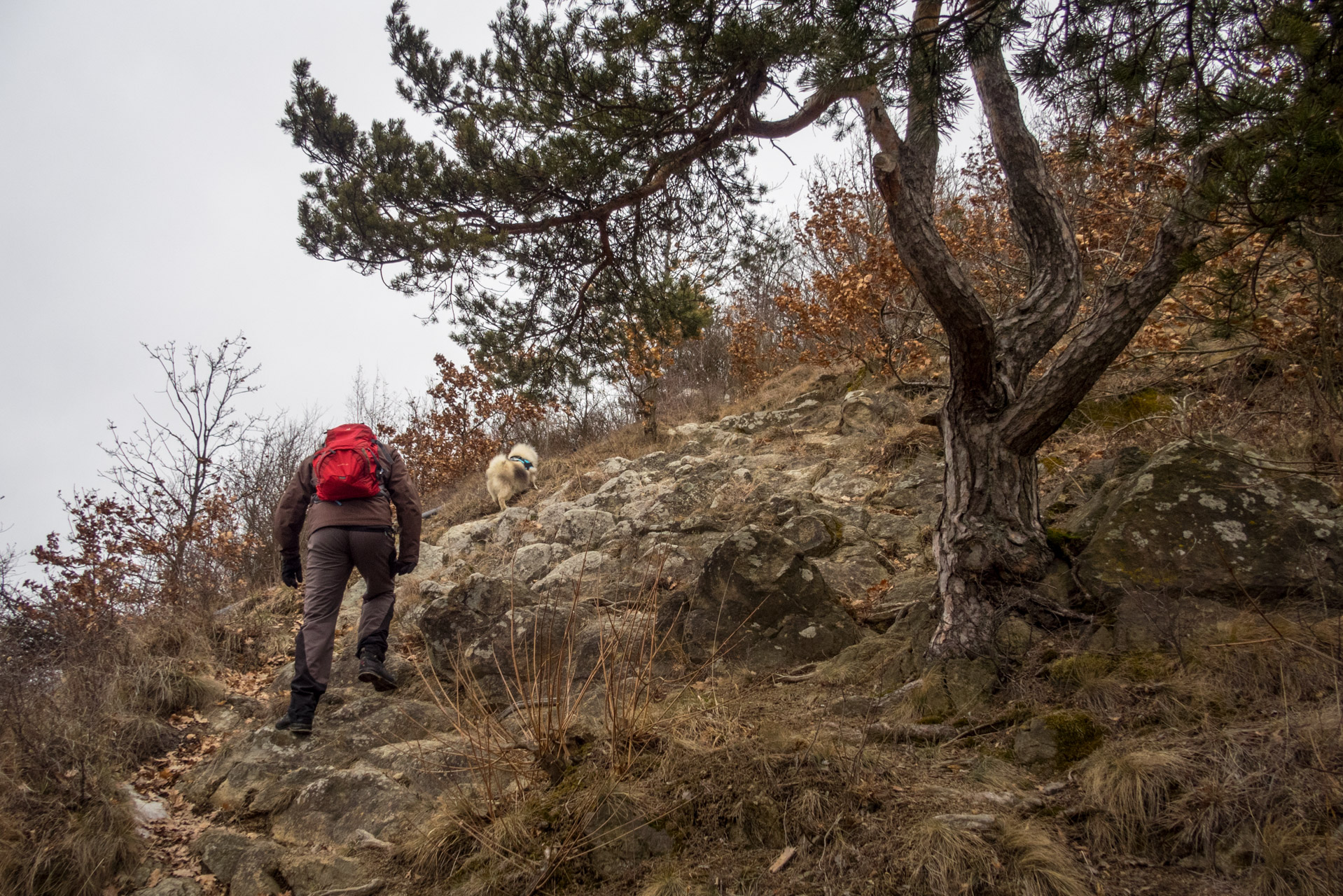 Kapušiansky hrad a hradný vrch z Kapušian (Šariš)