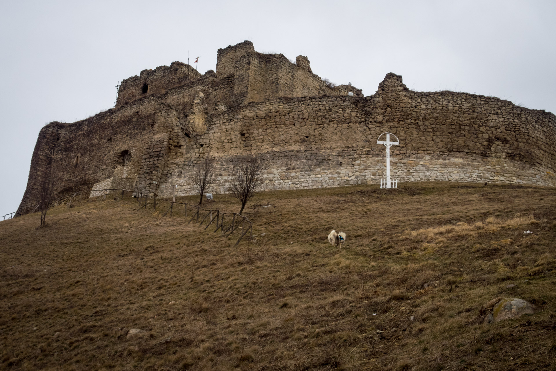 Kapušiansky hrad a hradný vrch z Kapušian (Šariš)