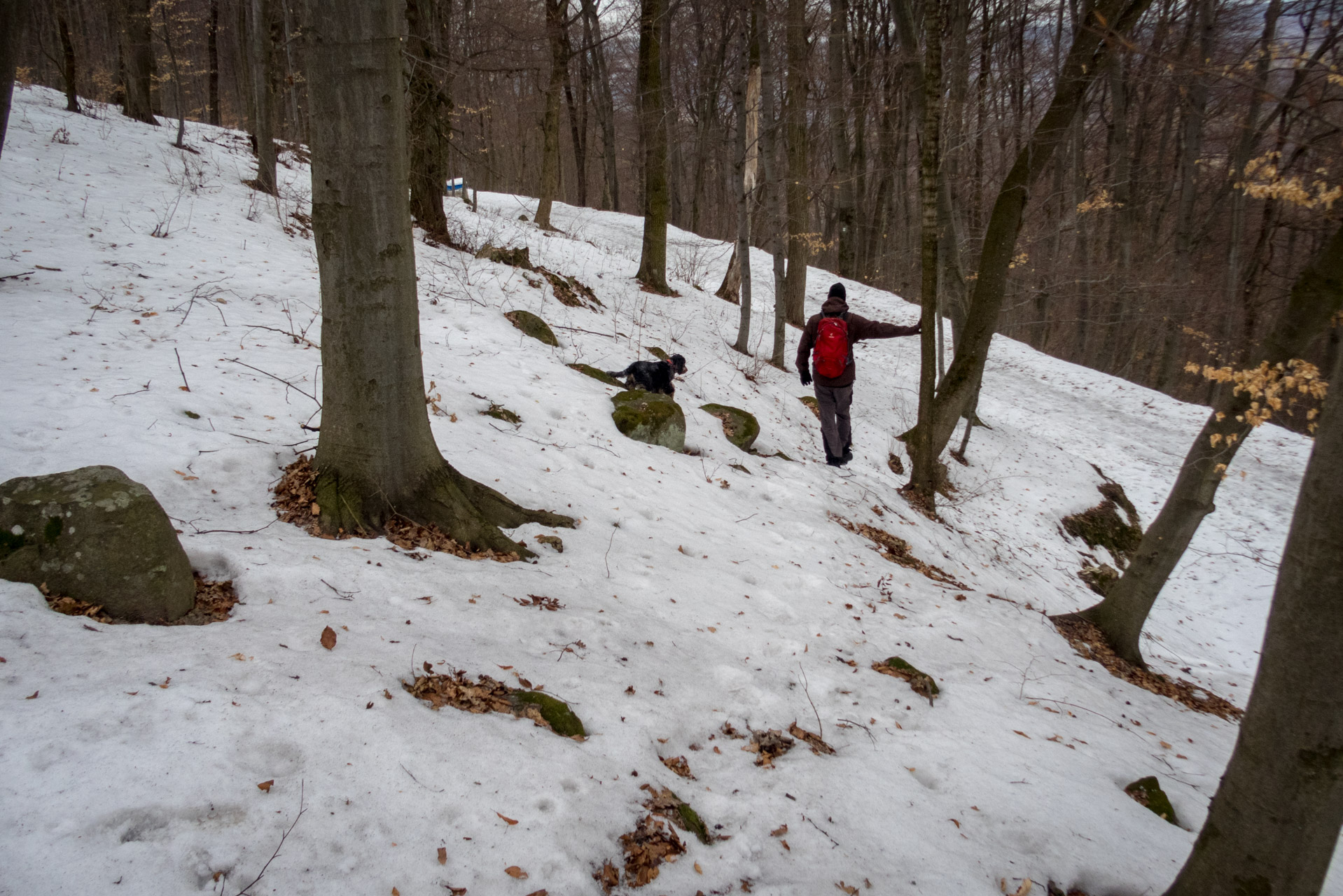 Kapušiansky hrad a hradný vrch z Kapušian (Šariš)