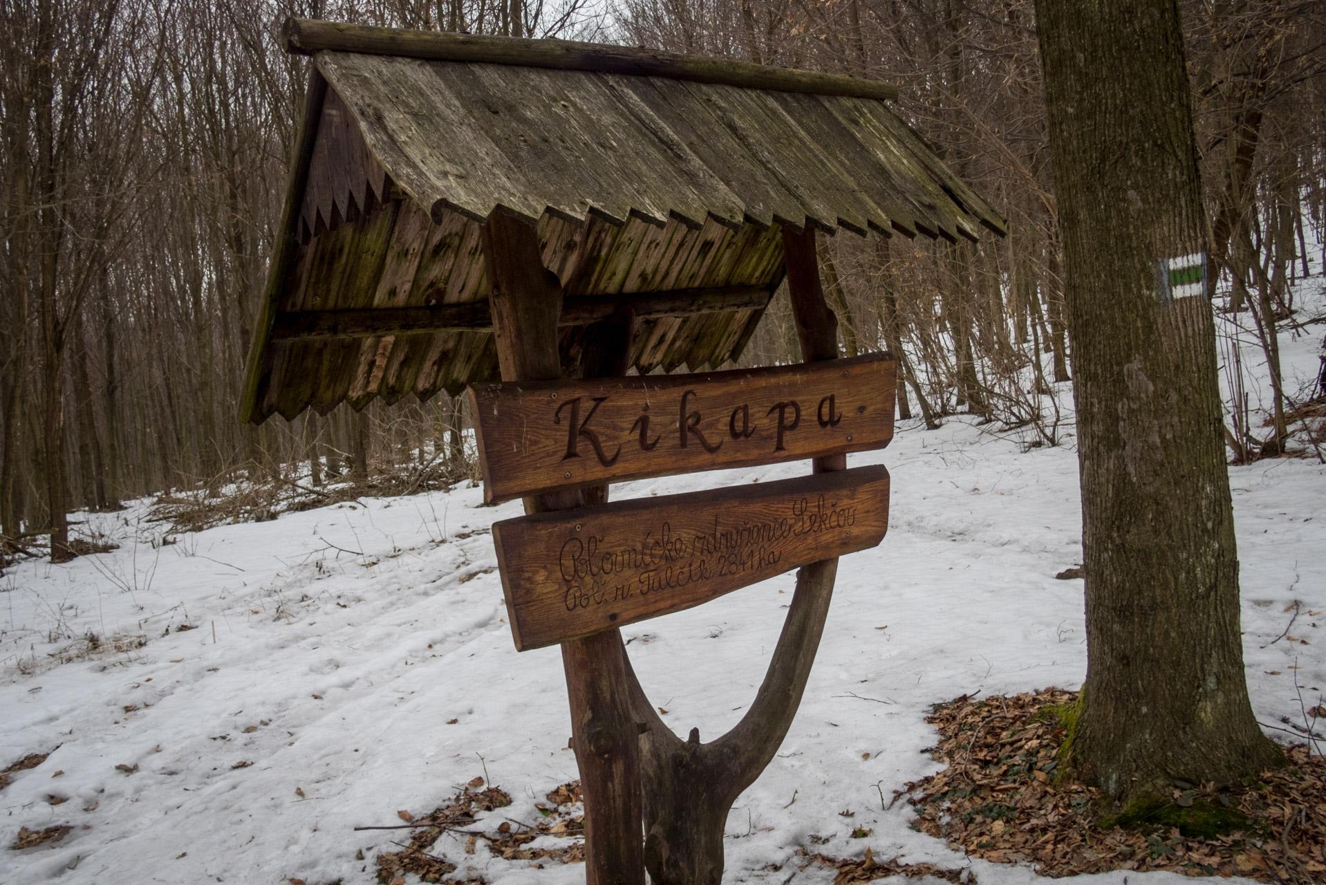 Kapušiansky hrad a hradný vrch z Kapušian (Šariš)