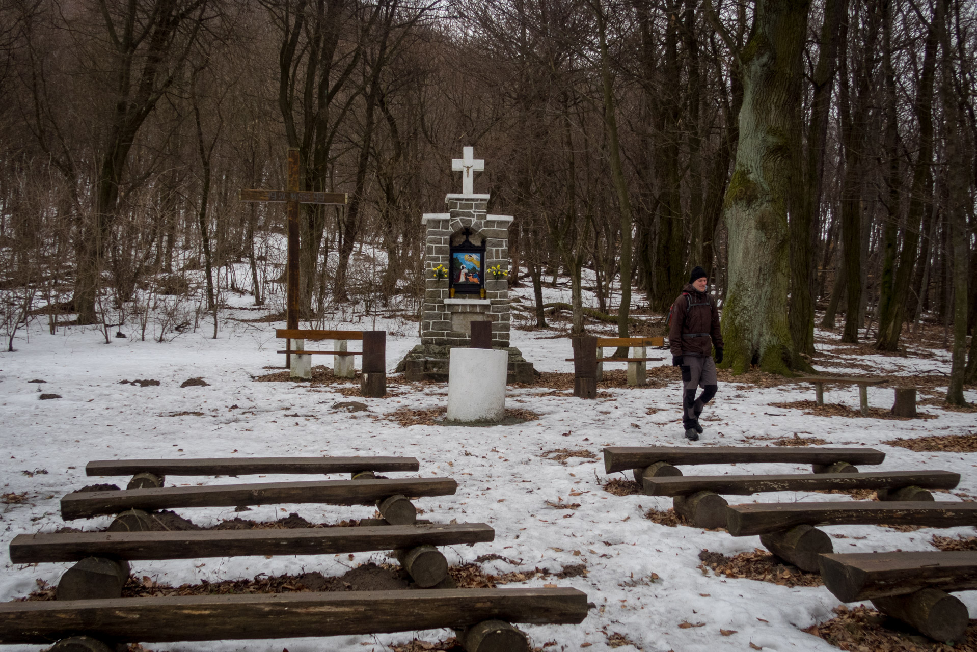 Kapušiansky hrad a hradný vrch z Kapušian (Šariš)