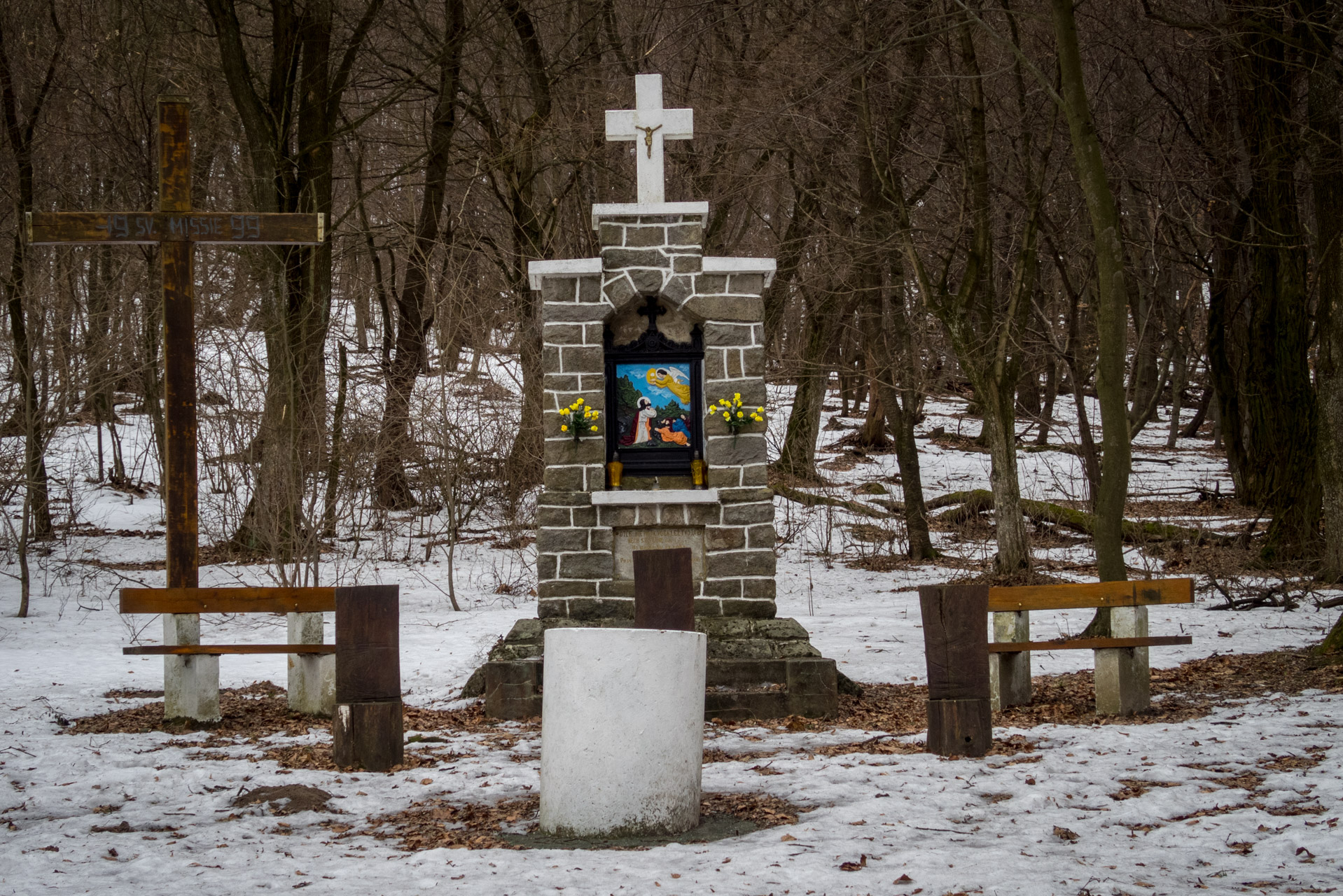 Kapušiansky hrad a hradný vrch z Kapušian (Šariš)