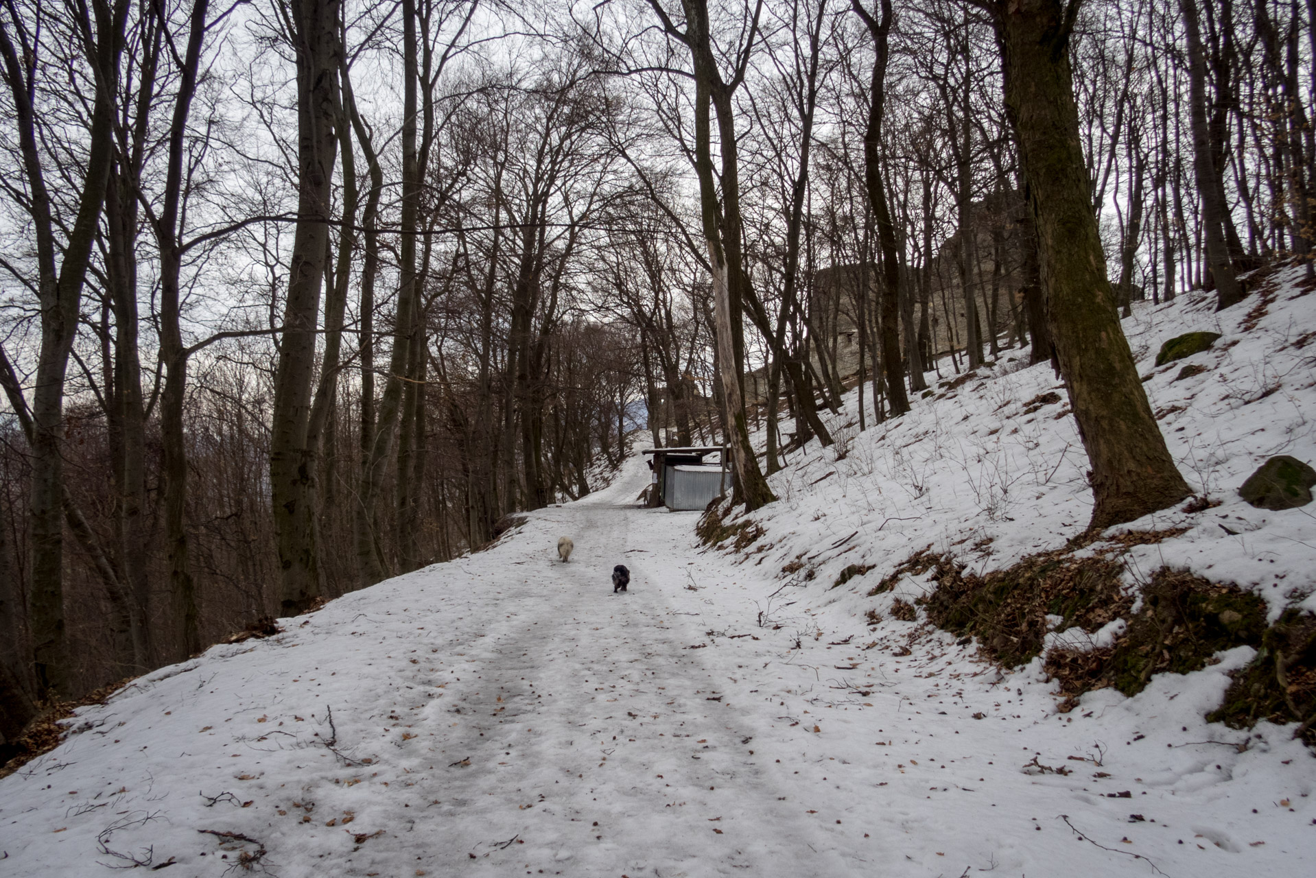 Kapušiansky hrad a hradný vrch z Kapušian (Šariš)