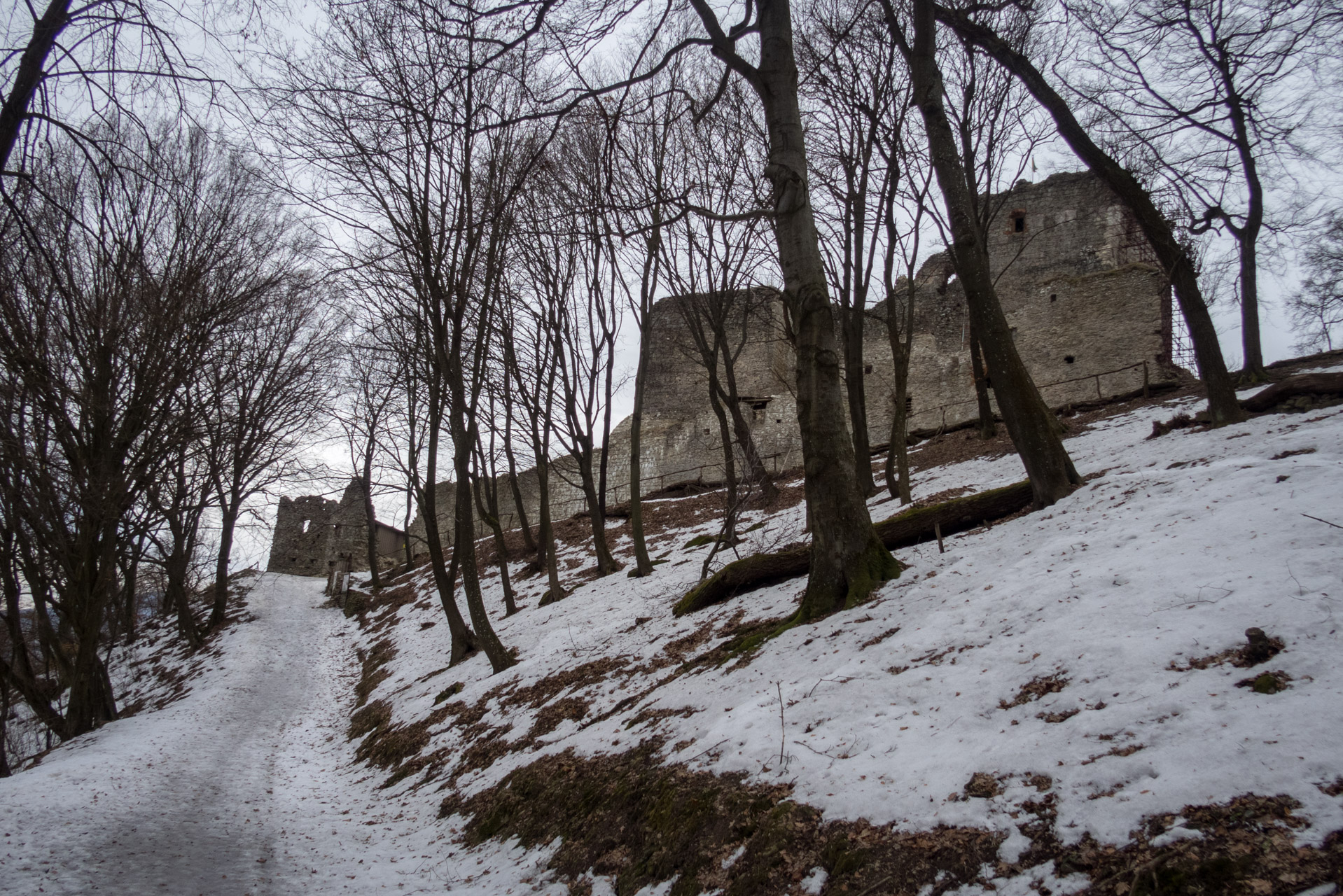 Kapušiansky hrad a hradný vrch z Kapušian (Šariš)