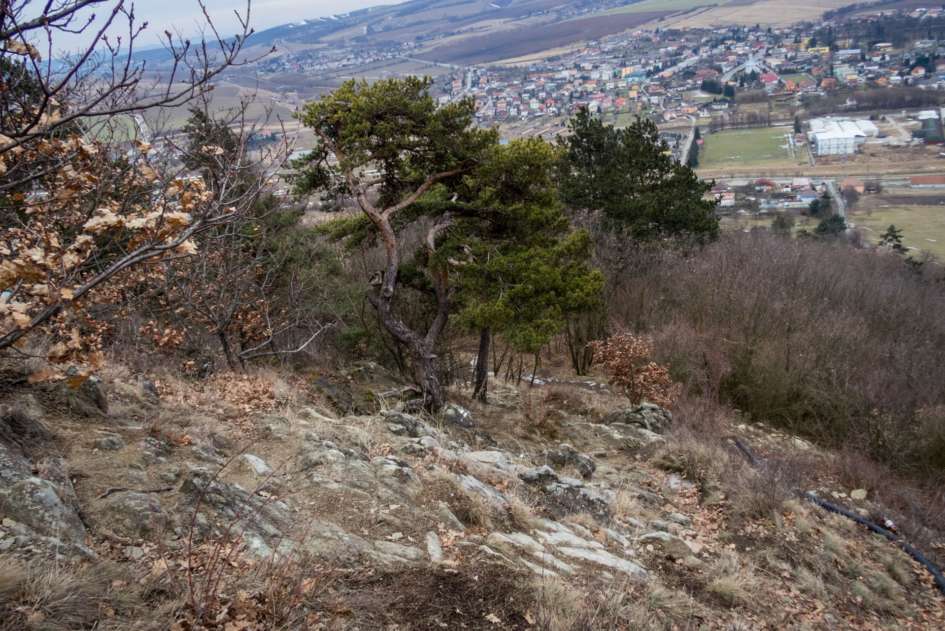 Kapušiansky hrad a hradný vrch z Kapušian (Šariš)