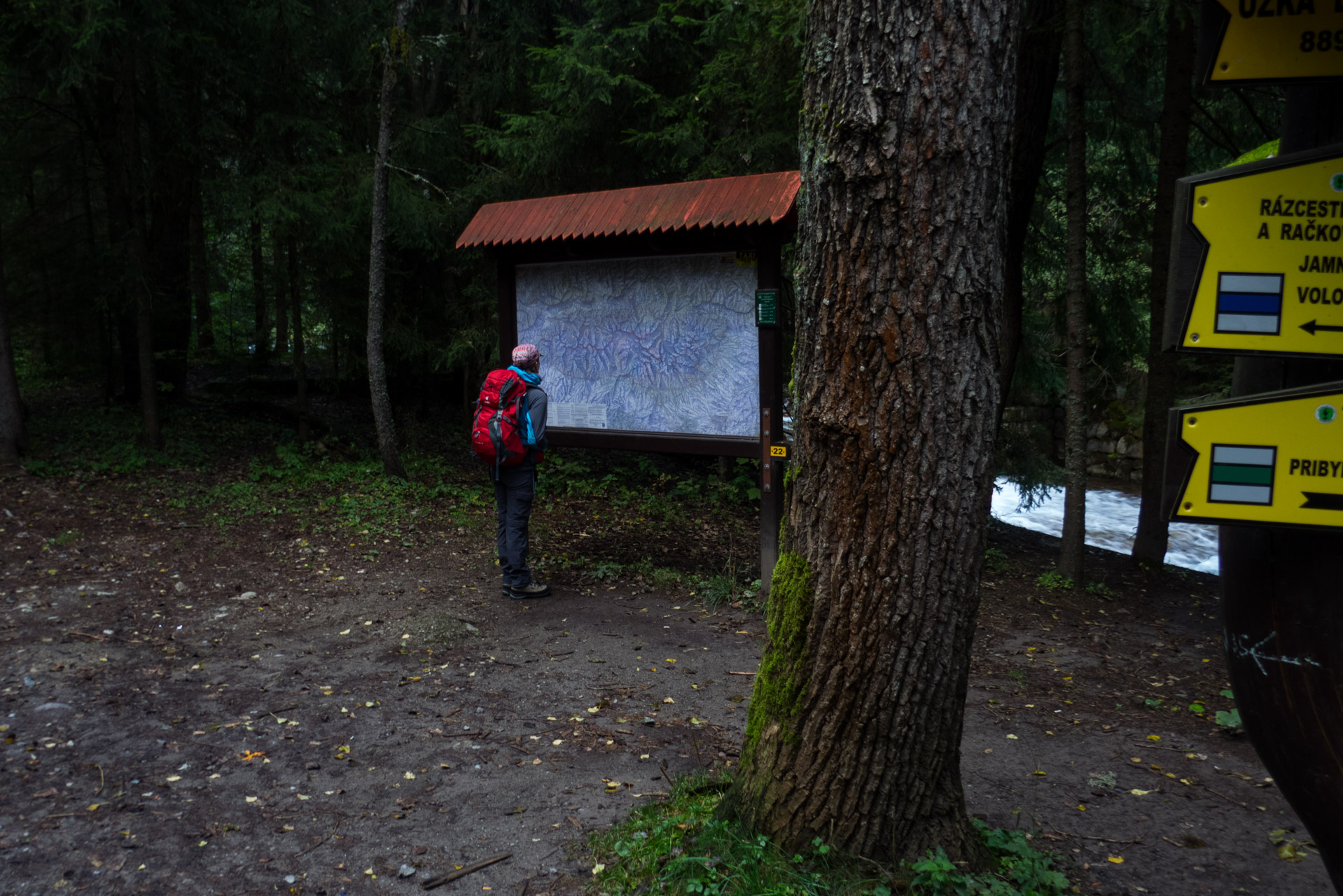 Klin z Račkovej doliny, ATC (Západné Tatry)