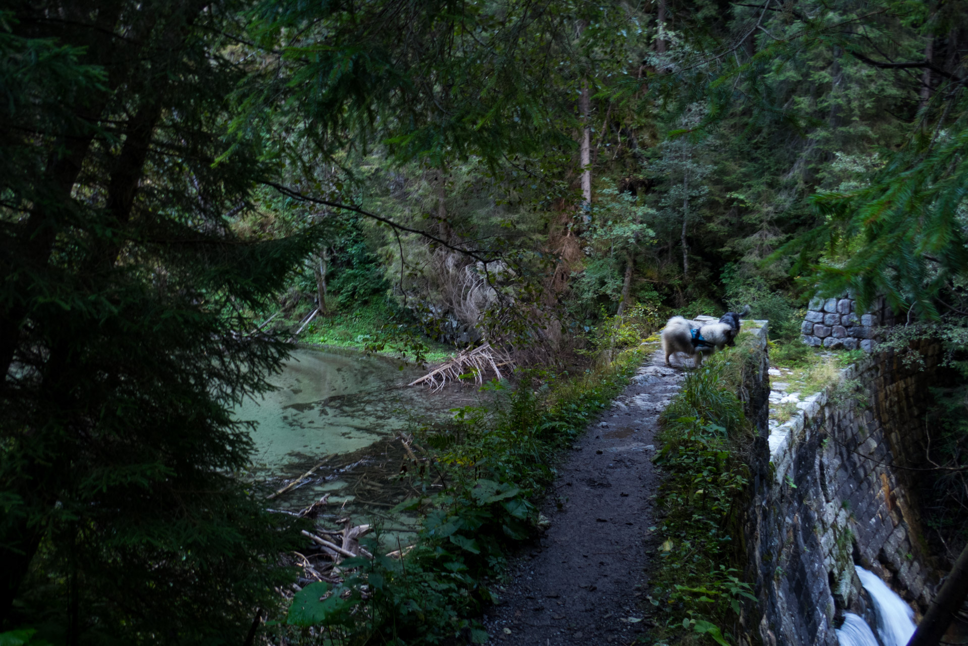 Klin z Račkovej doliny, ATC (Západné Tatry)