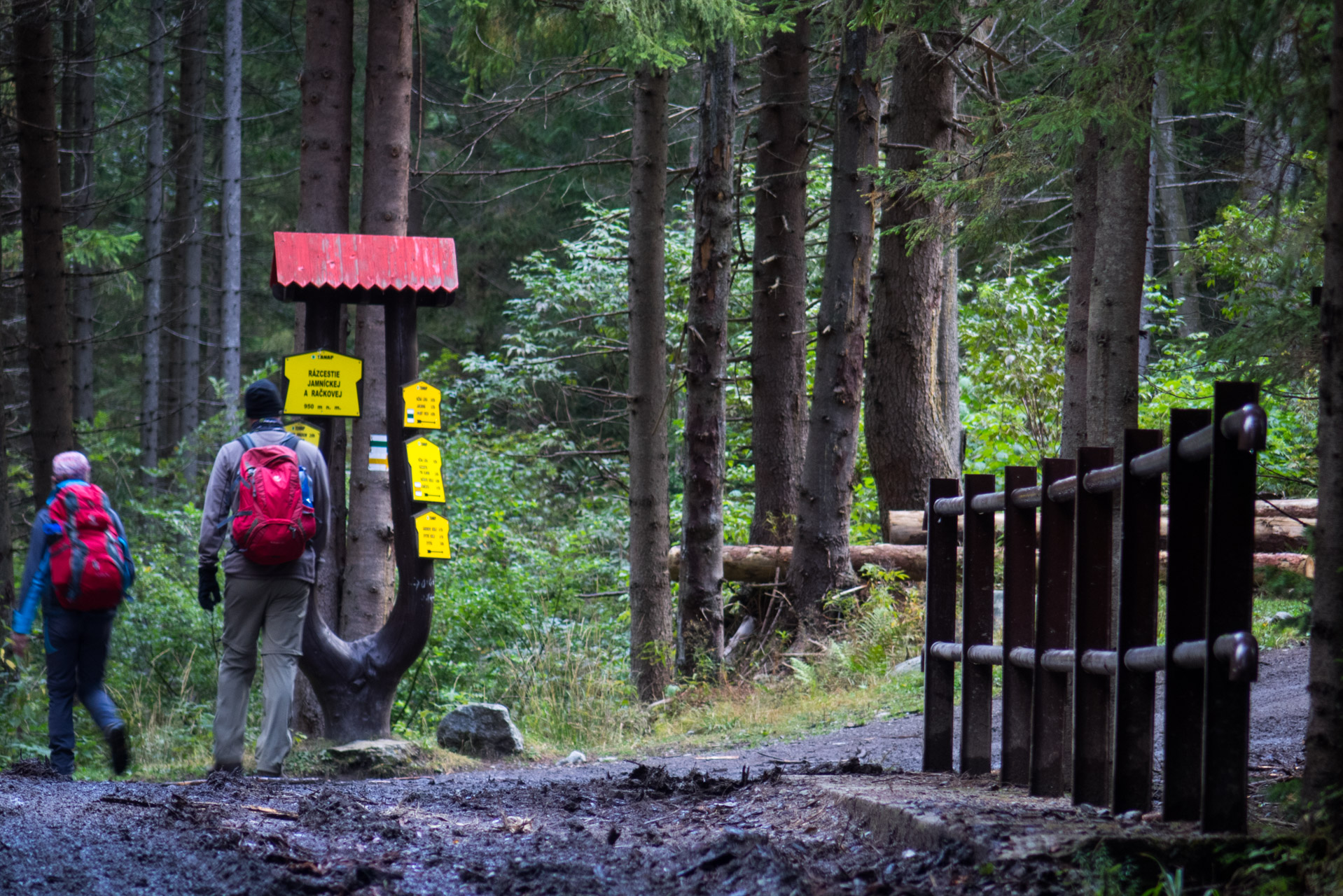 Klin z Račkovej doliny, ATC (Západné Tatry)