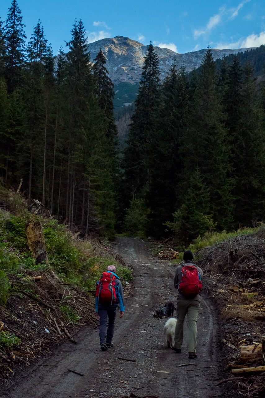 Klin z Račkovej doliny, ATC (Západné Tatry)