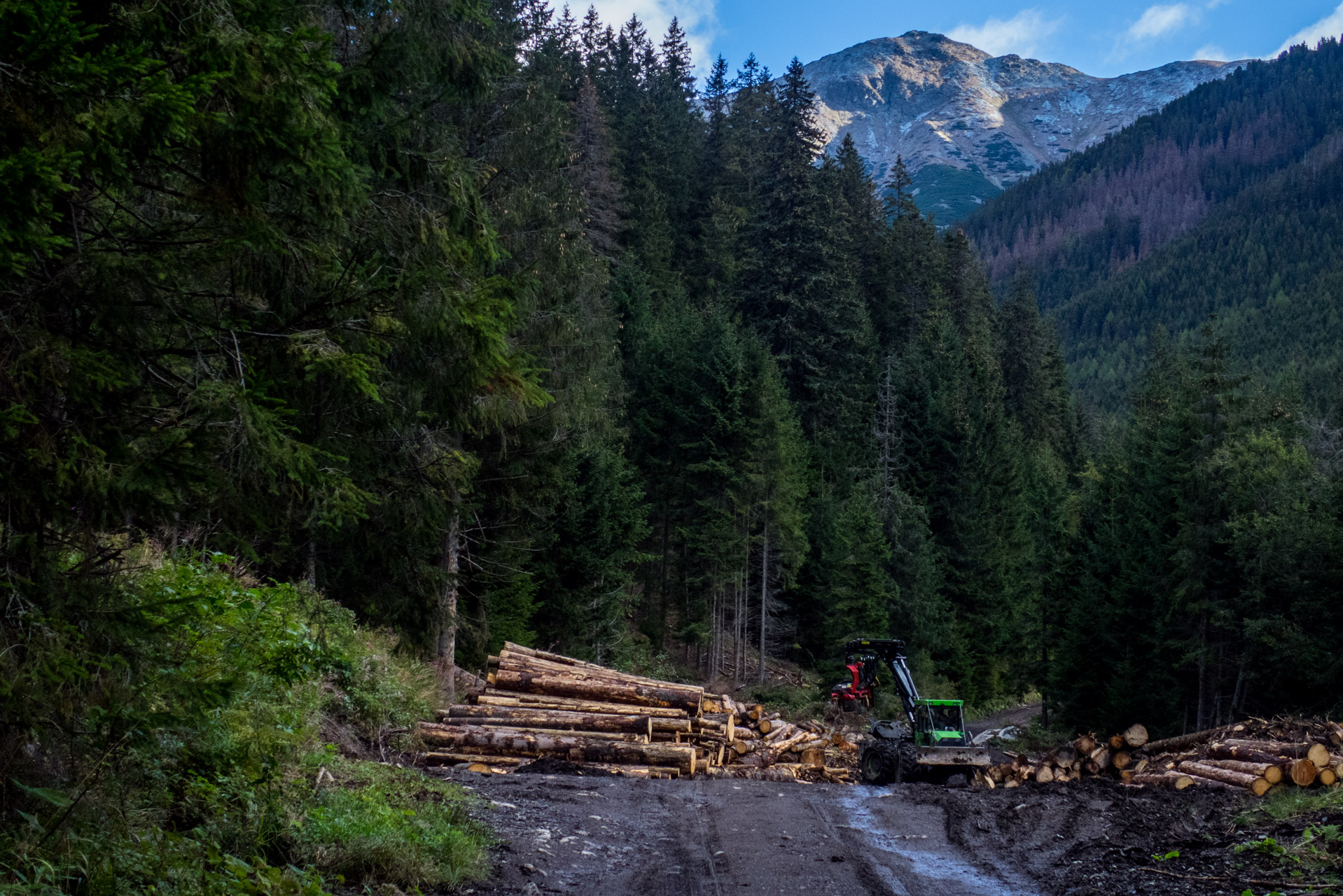 Klin z Račkovej doliny, ATC (Západné Tatry)