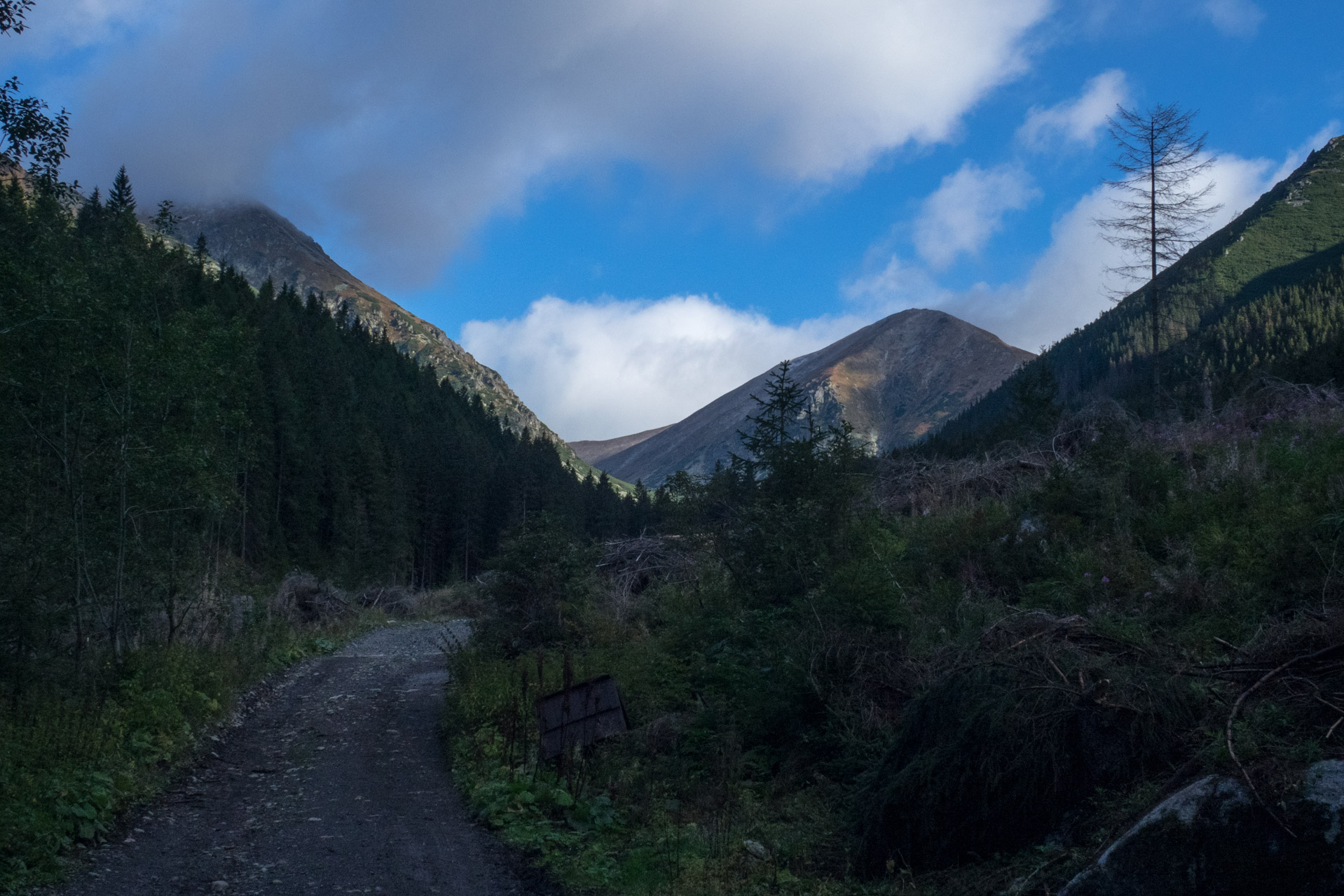 Klin z Račkovej doliny, ATC (Západné Tatry)