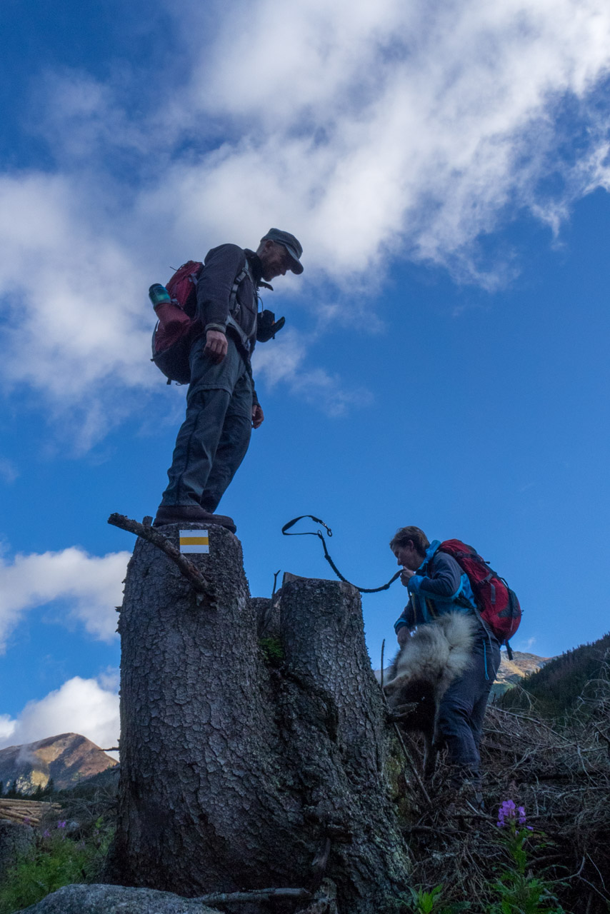 Klin z Račkovej doliny, ATC (Západné Tatry)