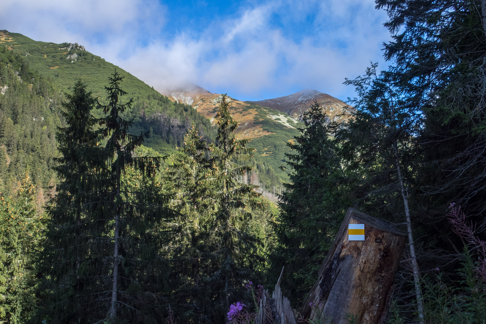 Klin z Račkovej doliny, ATC (Západné Tatry)