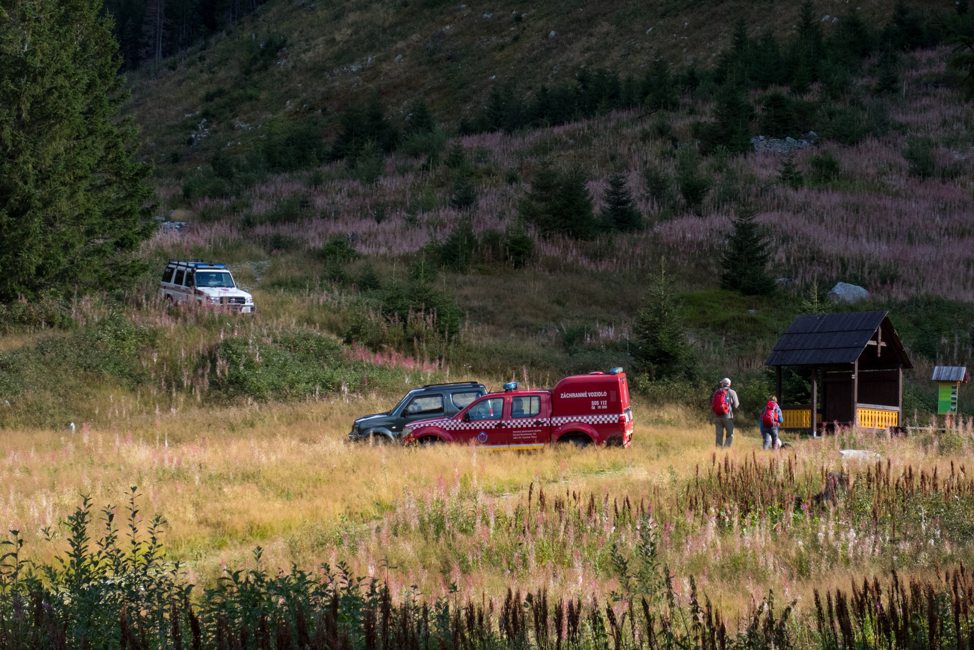 Klin z Račkovej doliny, ATC (Západné Tatry)