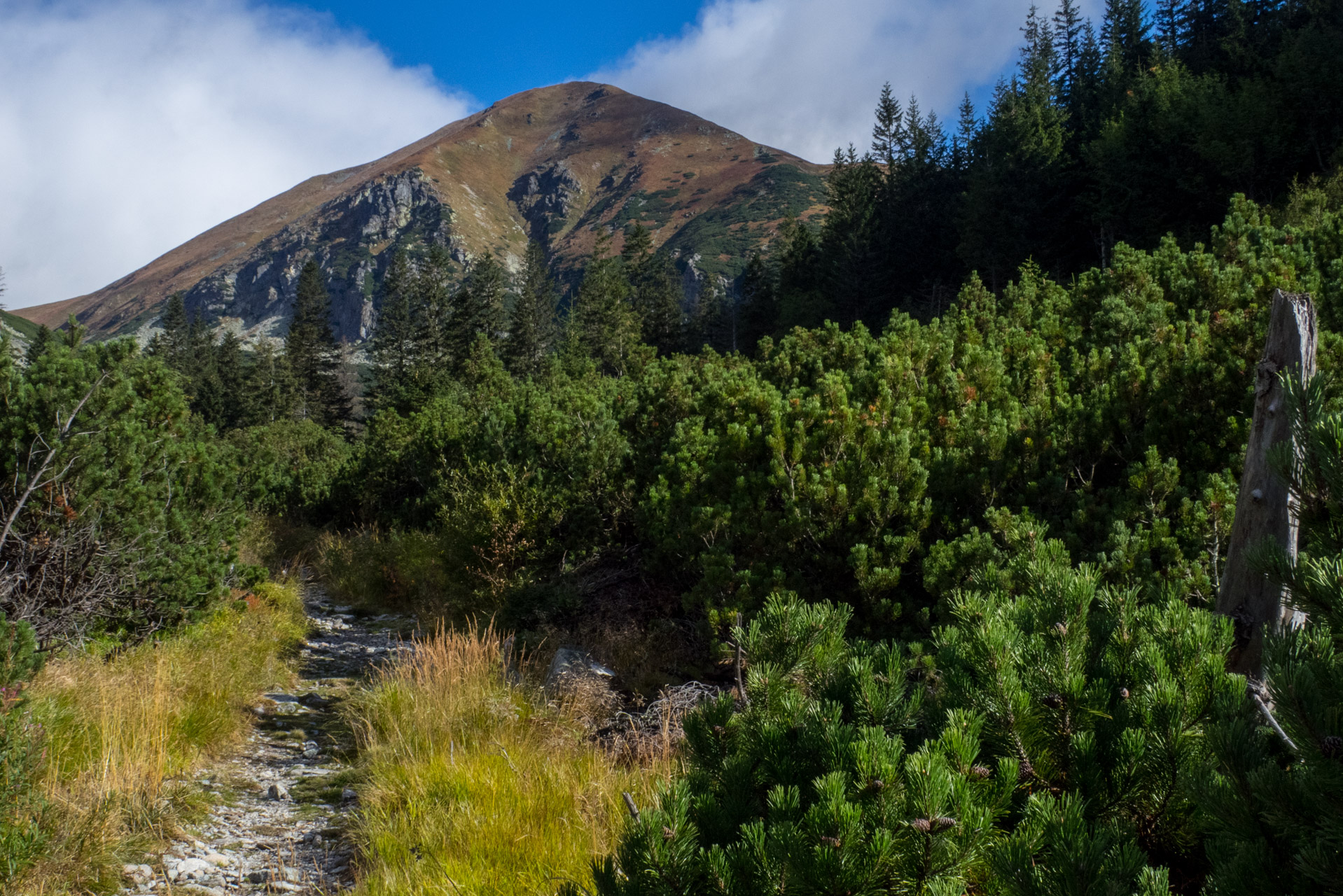 Klin z Račkovej doliny, ATC (Západné Tatry)