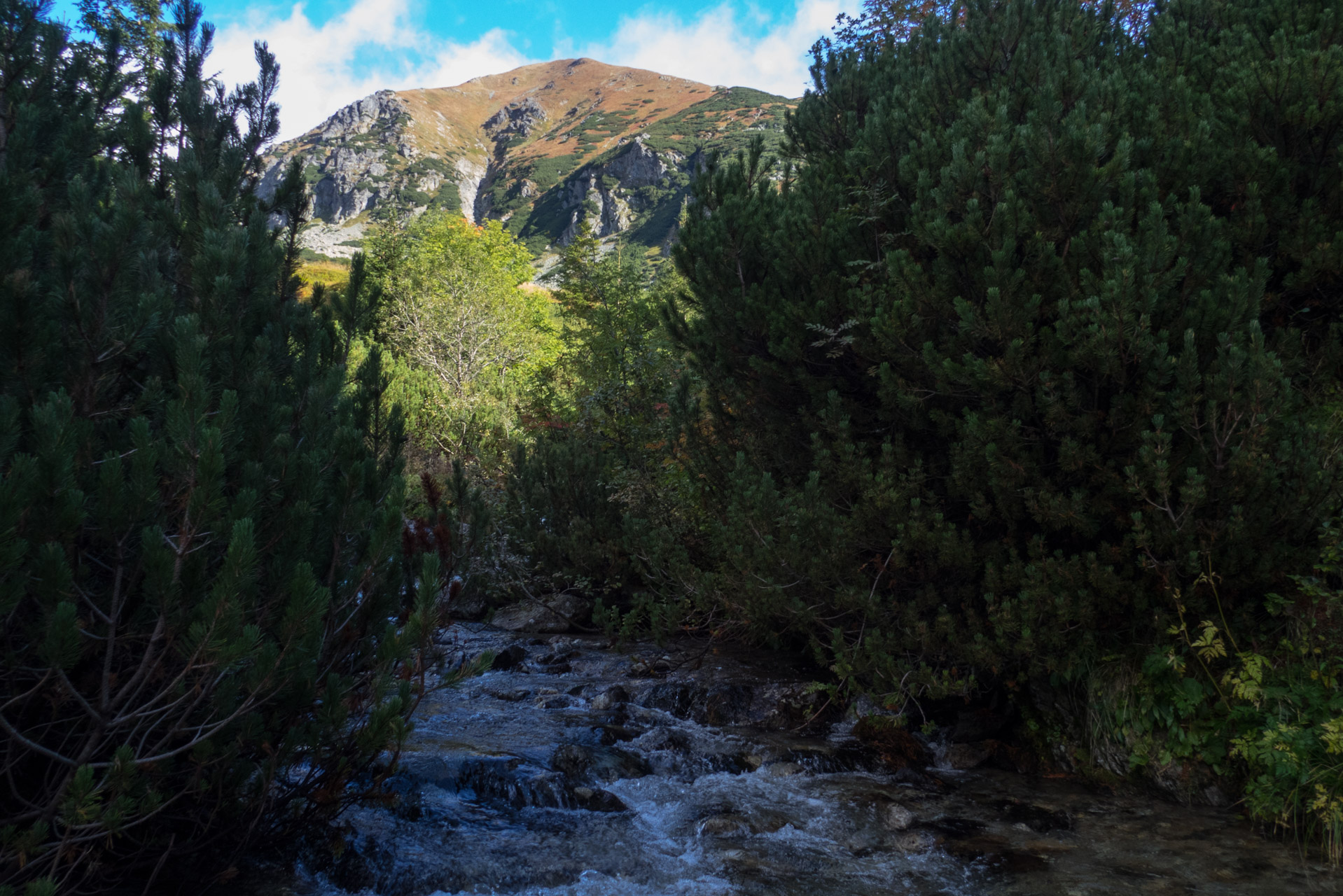 Klin z Račkovej doliny, ATC (Západné Tatry)