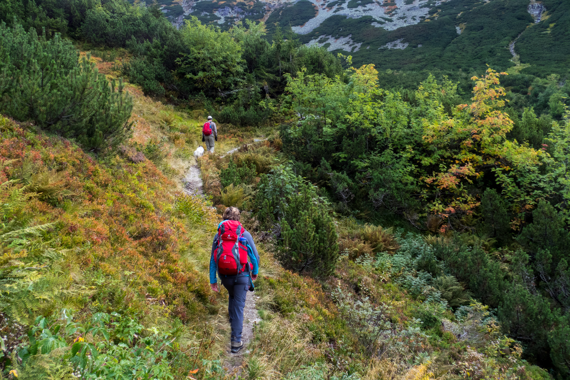 Klin z Račkovej doliny, ATC (Západné Tatry)