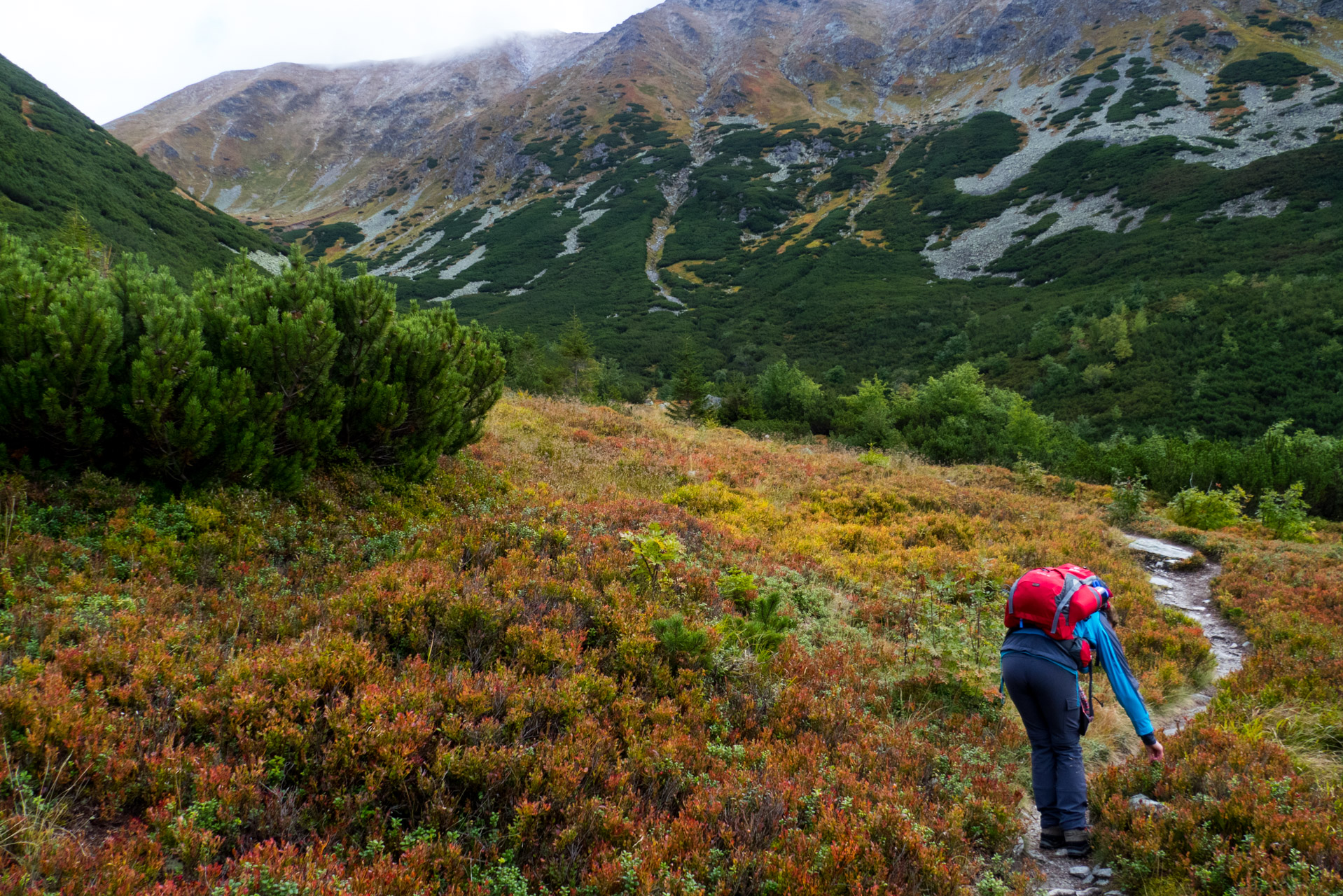 Klin z Račkovej doliny, ATC (Západné Tatry)