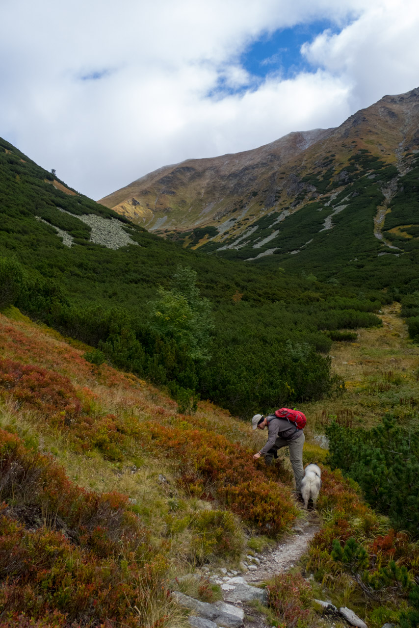 Klin z Račkovej doliny, ATC (Západné Tatry)