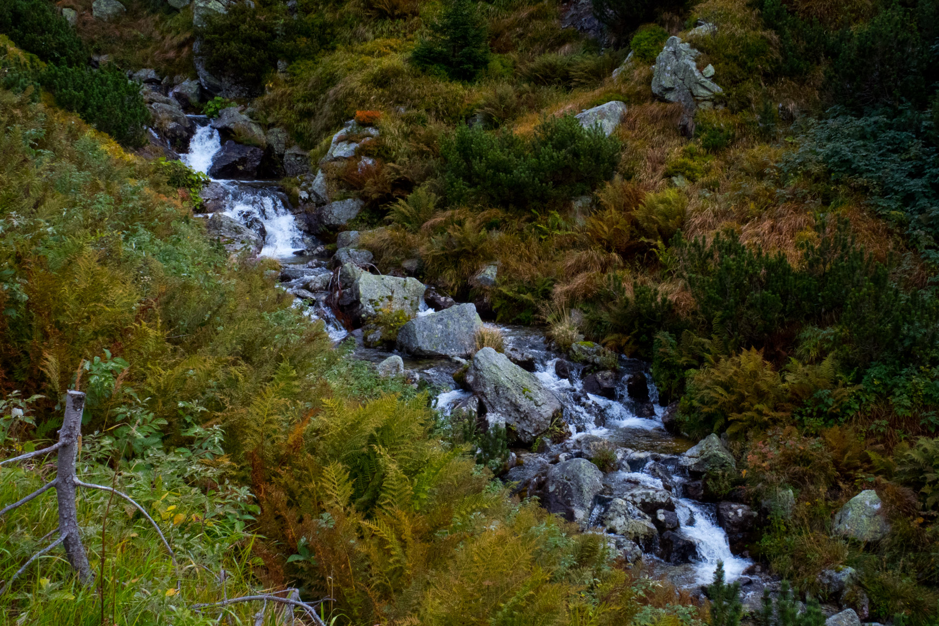 Klin z Račkovej doliny, ATC (Západné Tatry)