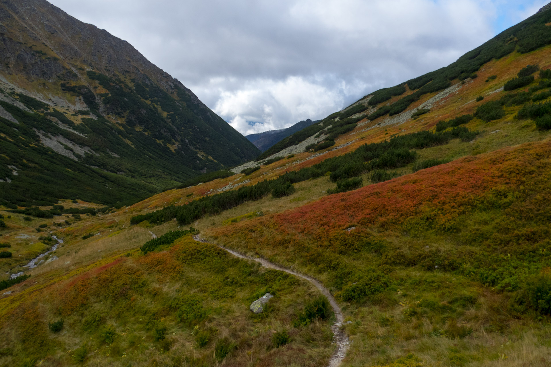 Klin z Račkovej doliny, ATC (Západné Tatry)