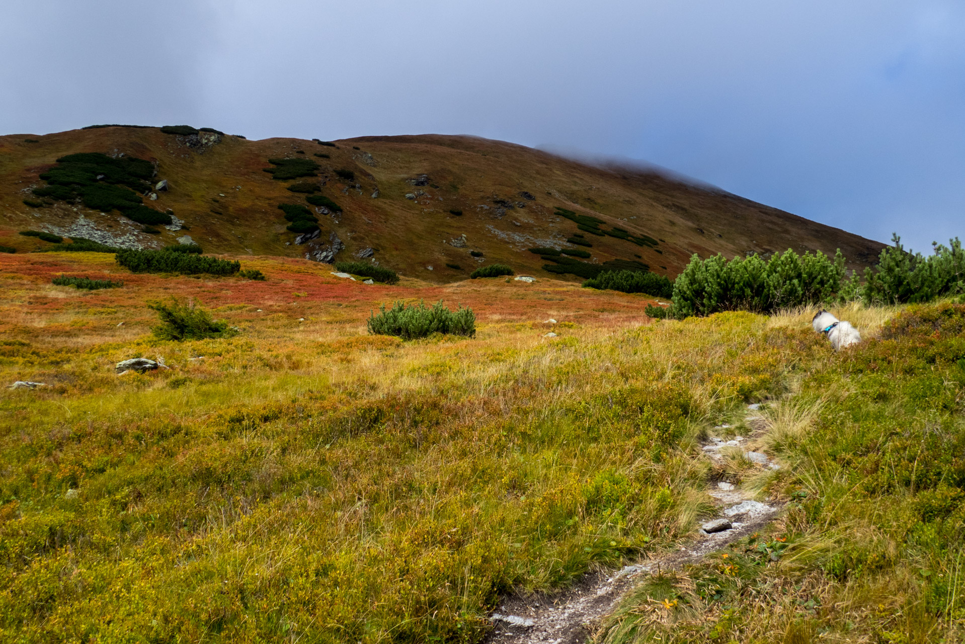 Klin z Račkovej doliny, ATC (Západné Tatry)