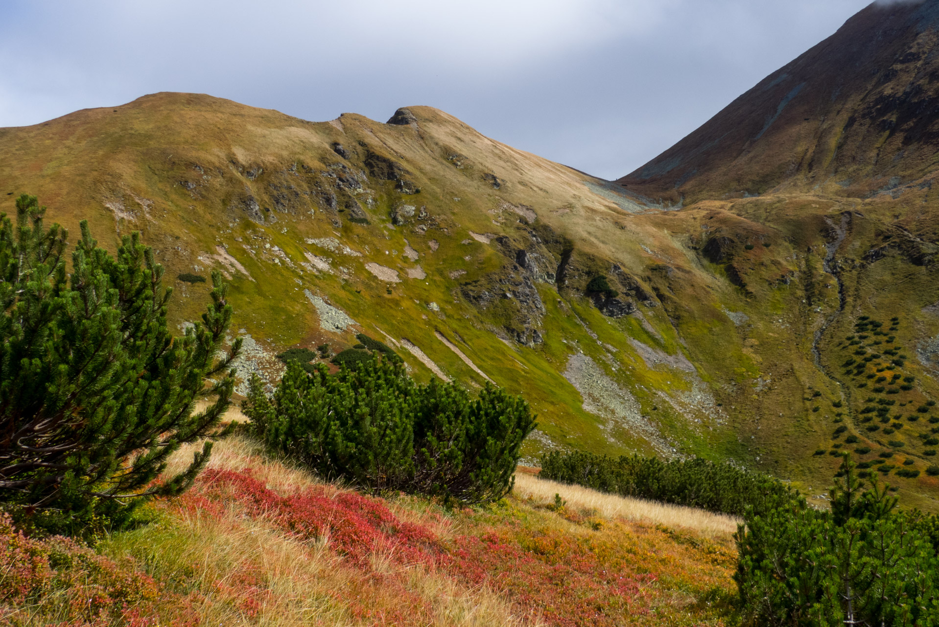 Klin z Račkovej doliny, ATC (Západné Tatry)