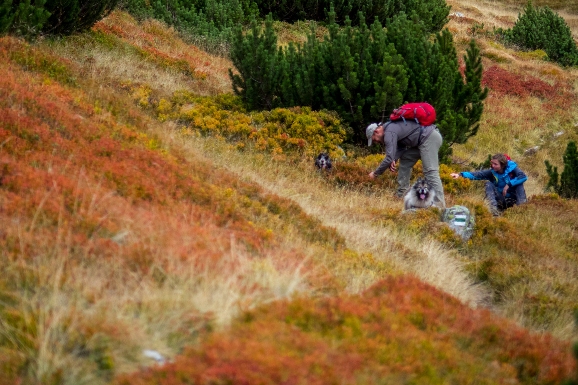 Klin z Račkovej doliny, ATC (Západné Tatry)