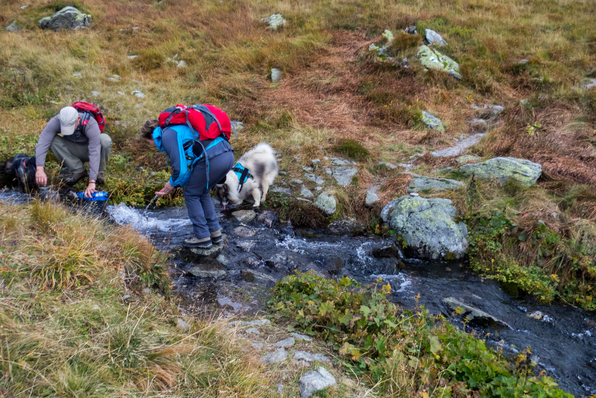 Klin z Račkovej doliny, ATC (Západné Tatry)