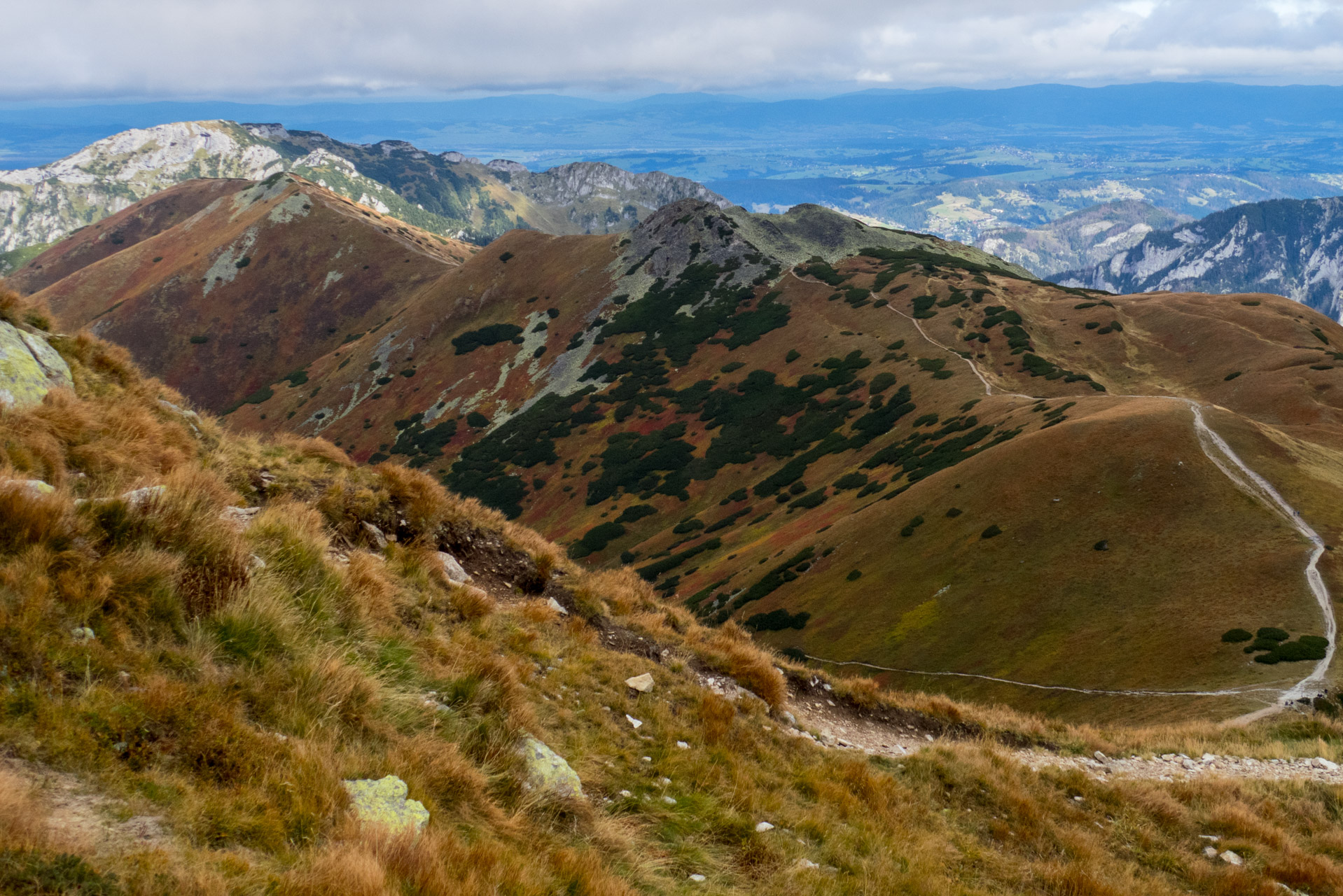 Klin z Račkovej doliny, ATC (Západné Tatry)