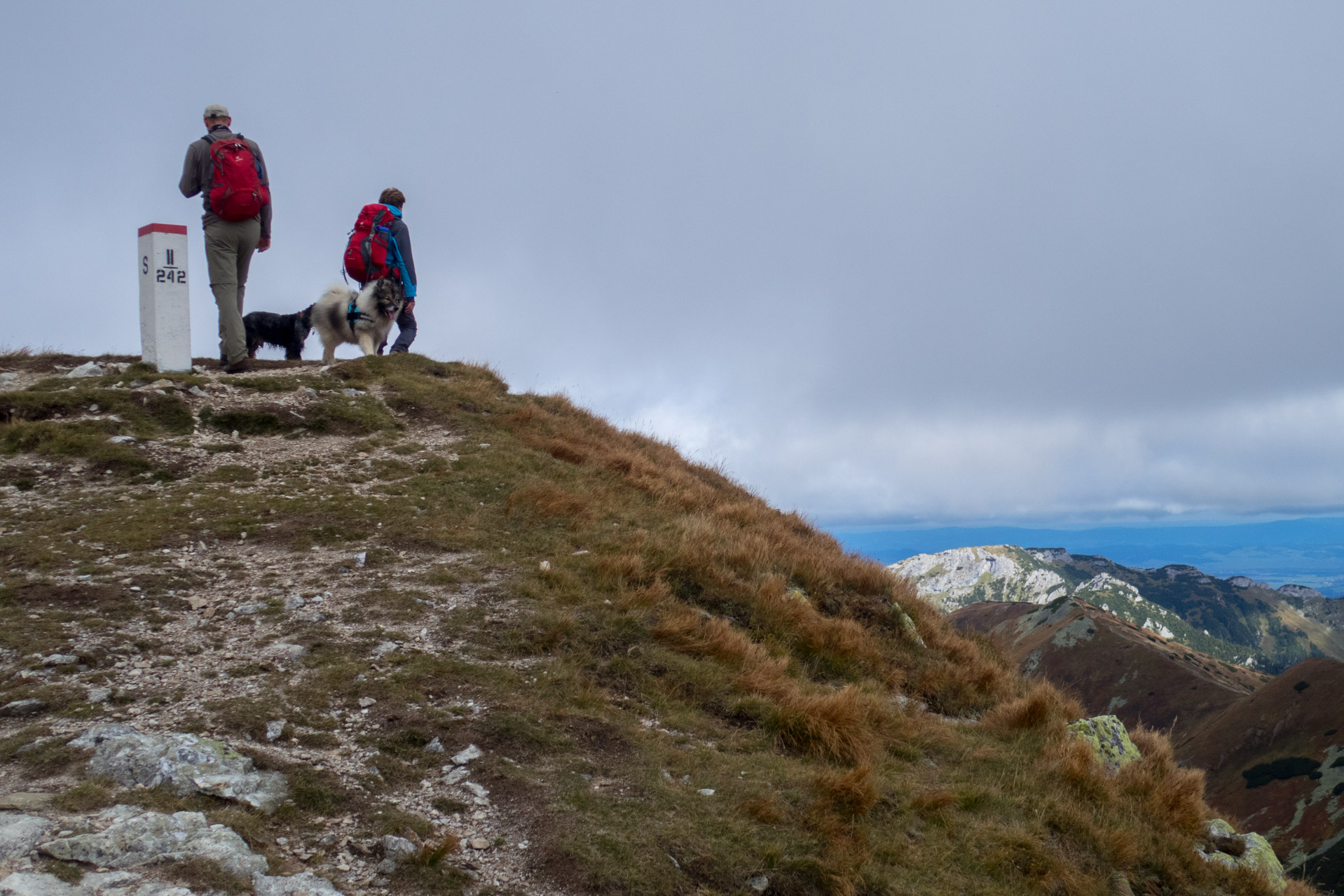 Klin z Račkovej doliny, ATC (Západné Tatry)