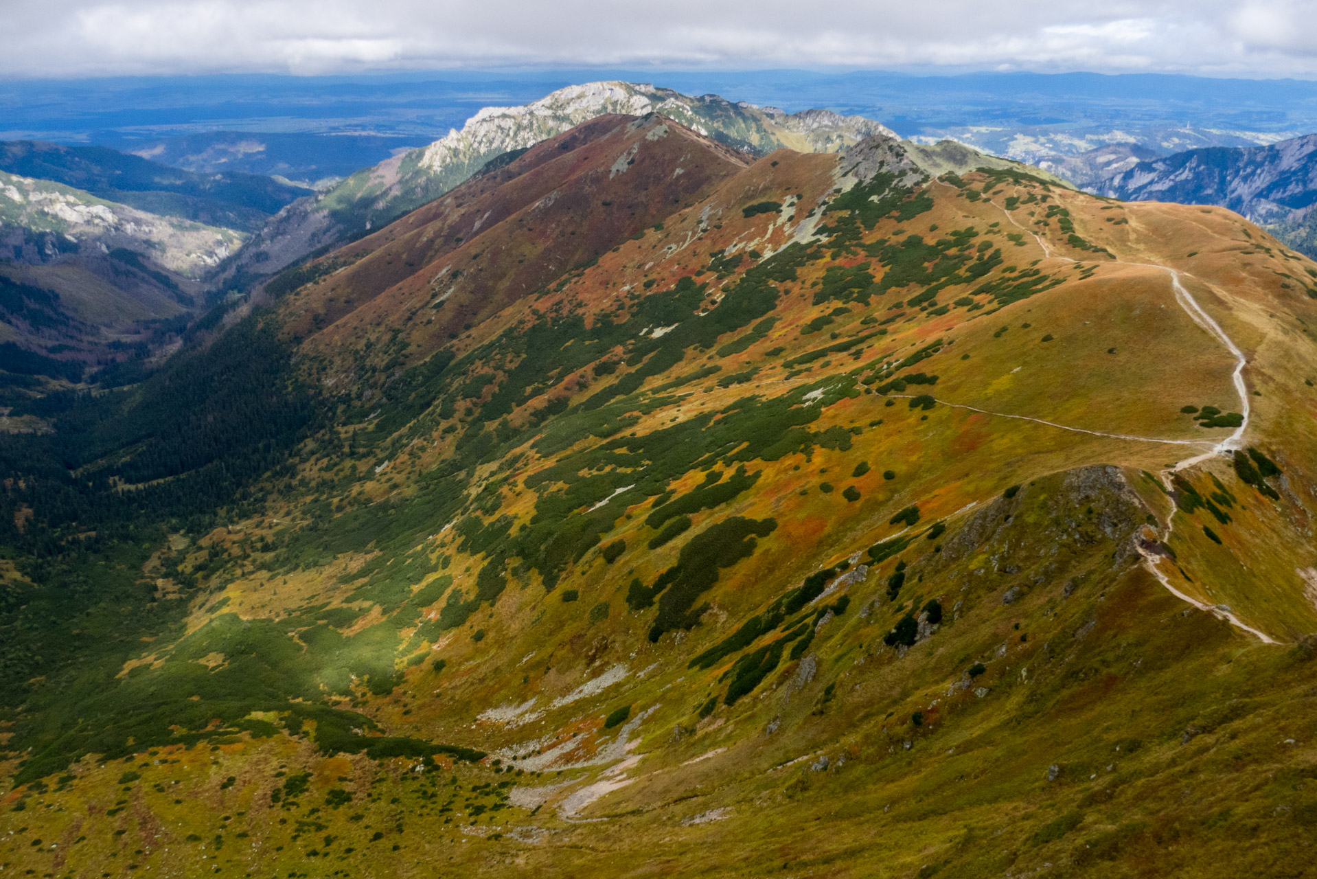 Klin z Račkovej doliny, ATC (Západné Tatry)