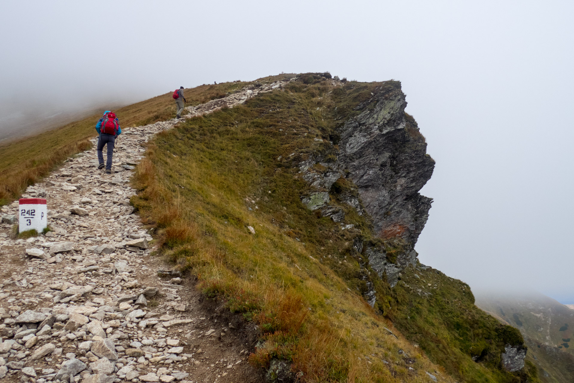 Klin z Račkovej doliny, ATC (Západné Tatry)