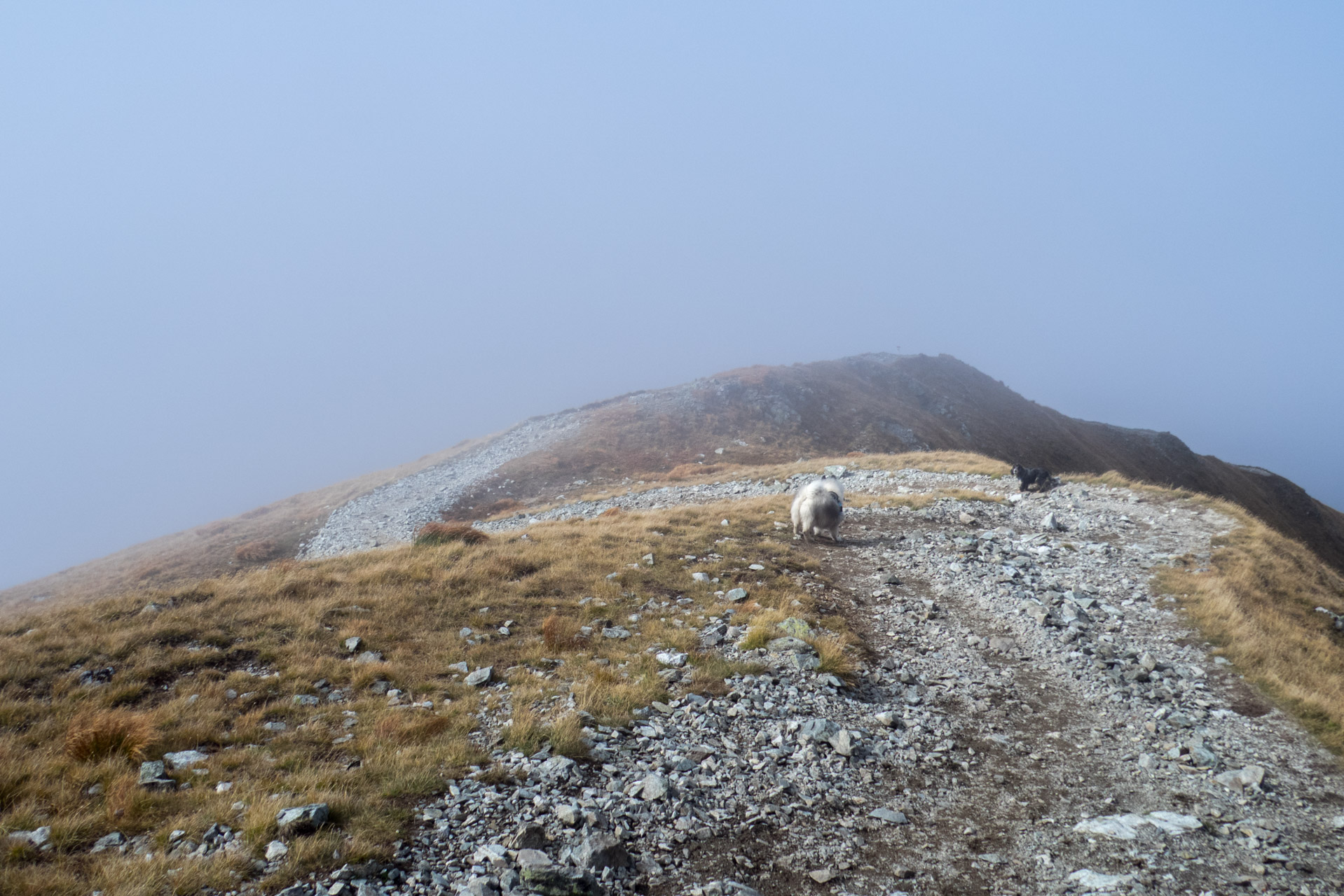 Klin z Račkovej doliny, ATC (Západné Tatry)