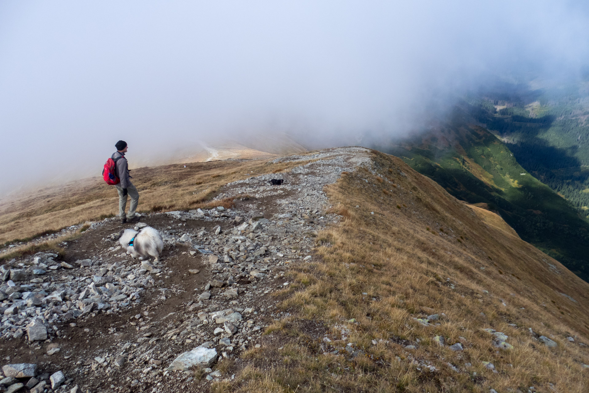 Klin z Račkovej doliny, ATC (Západné Tatry)