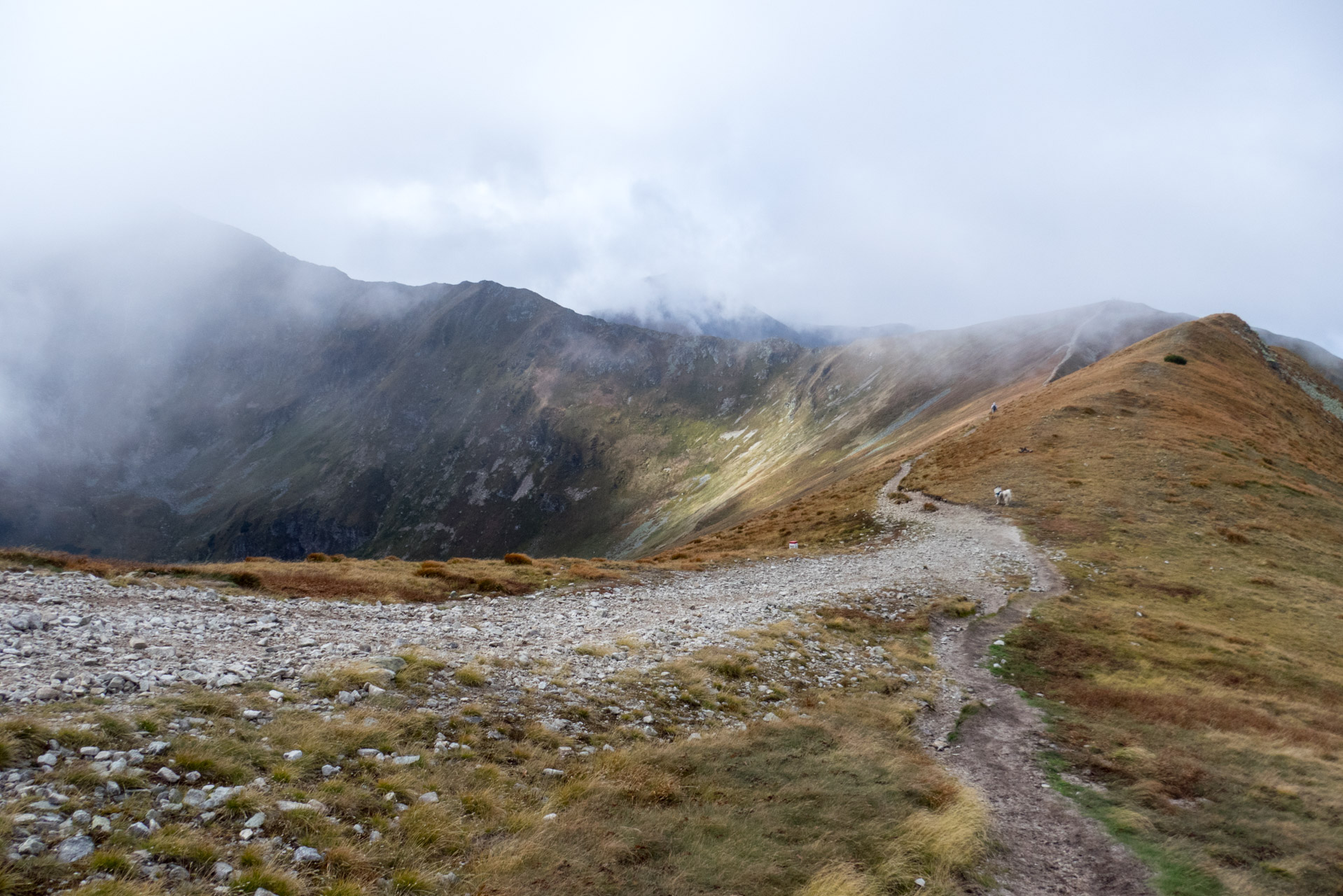 Klin z Račkovej doliny, ATC (Západné Tatry)