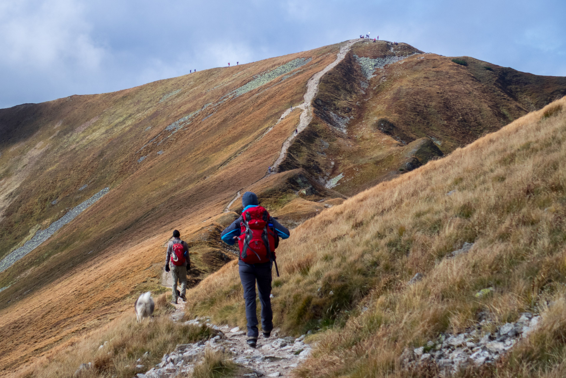 Klin z Račkovej doliny, ATC (Západné Tatry)