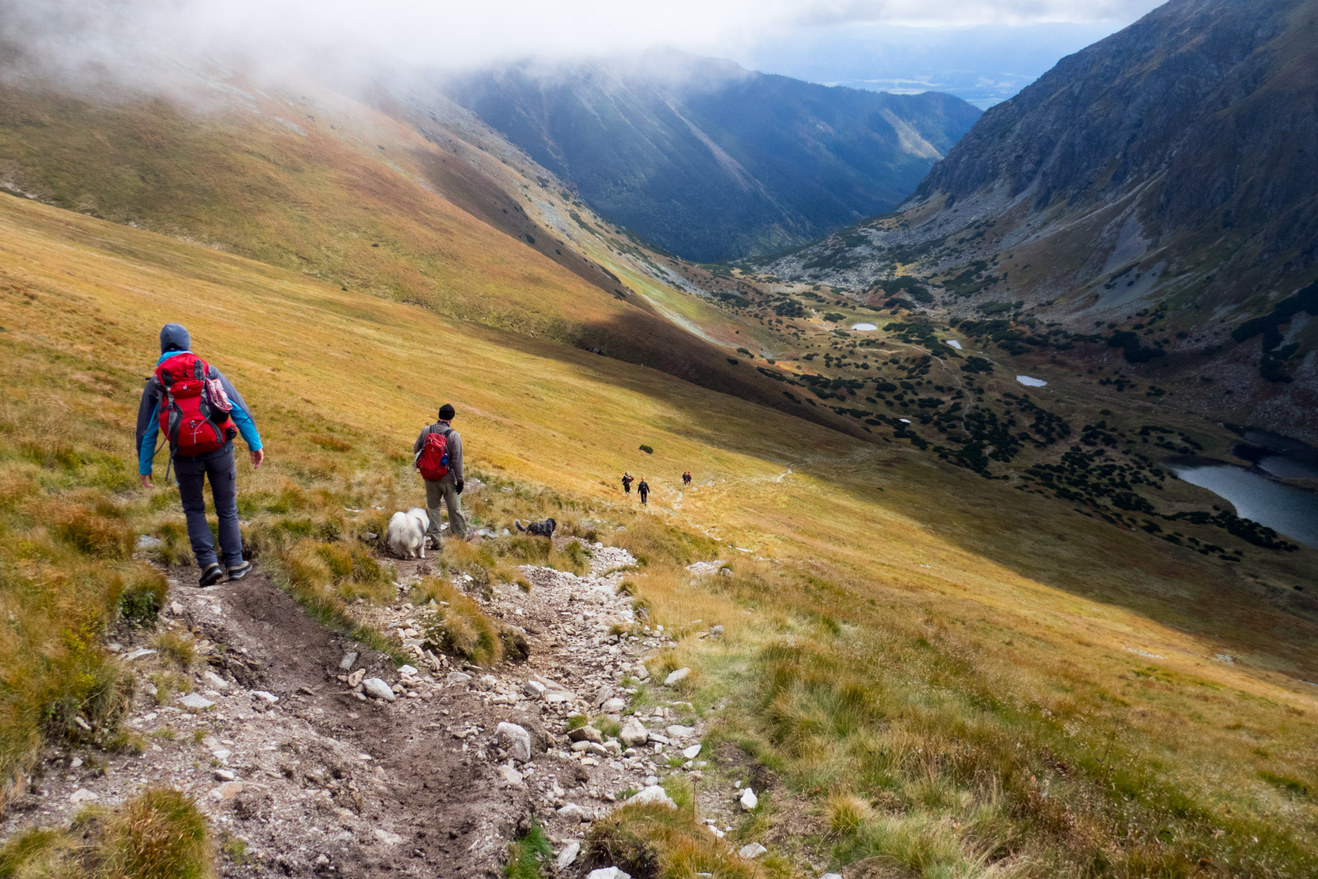 Klin z Račkovej doliny, ATC (Západné Tatry)