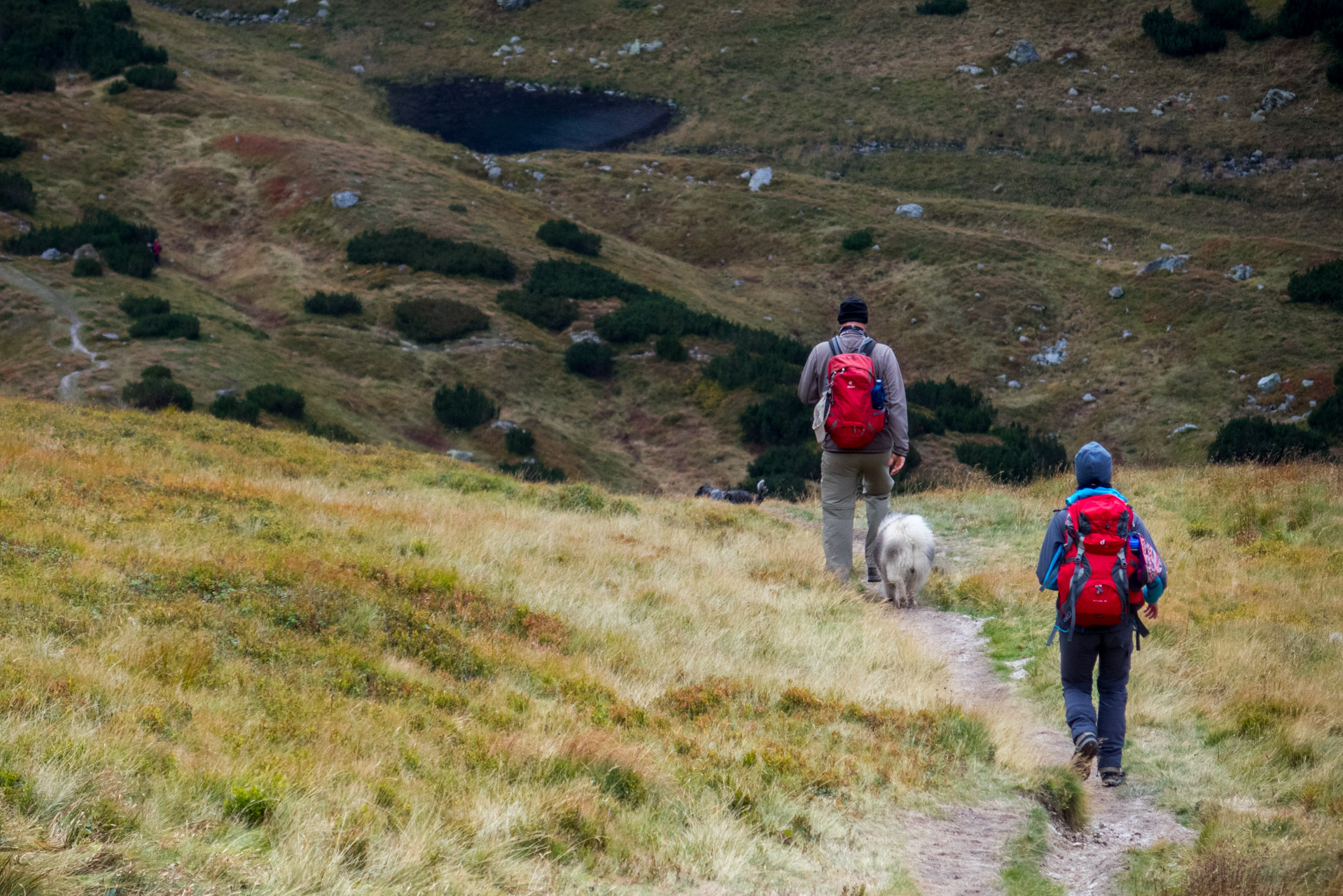 Klin z Račkovej doliny, ATC (Západné Tatry)