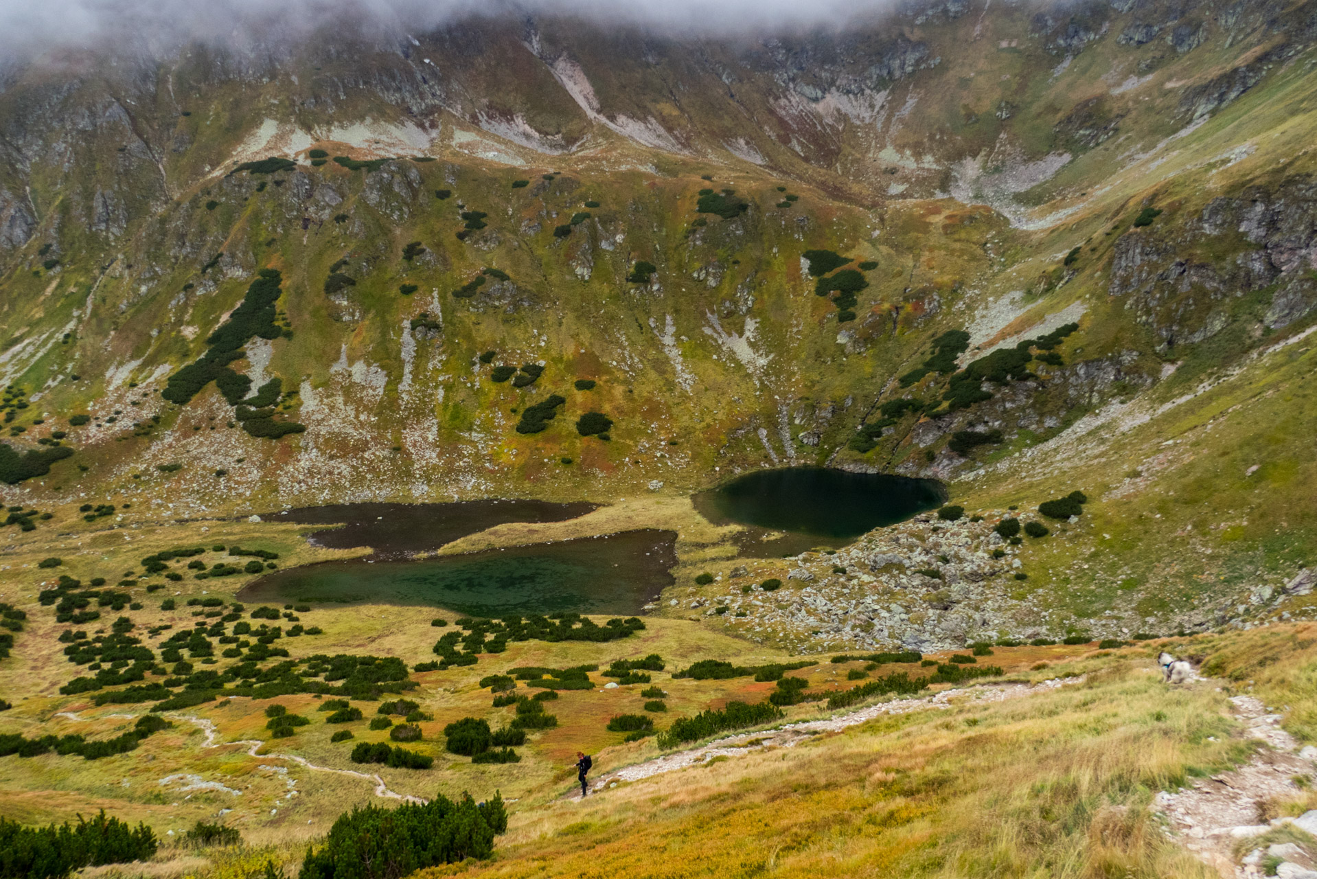 Klin z Račkovej doliny, ATC (Západné Tatry)