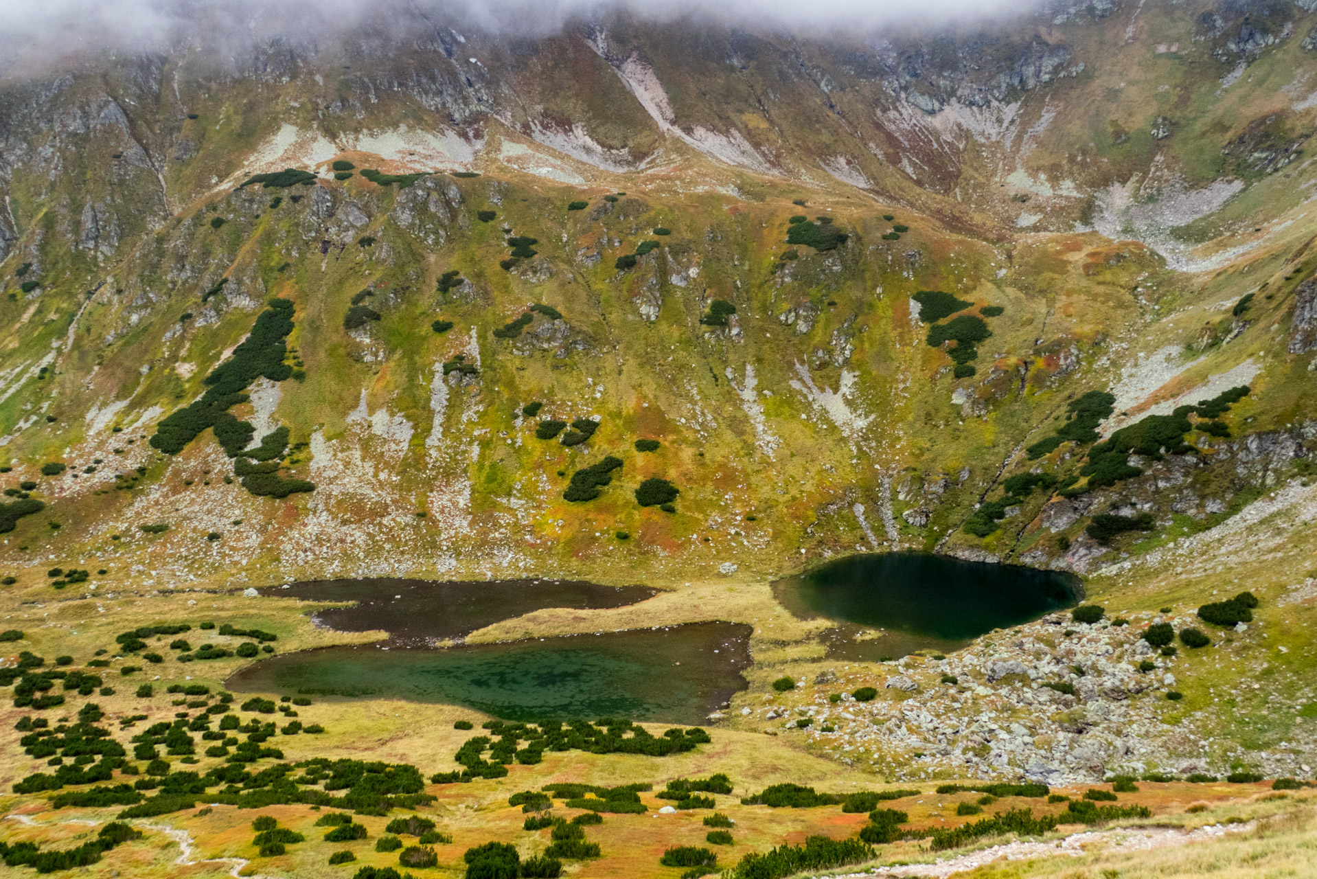 Klin z Račkovej doliny, ATC (Západné Tatry)