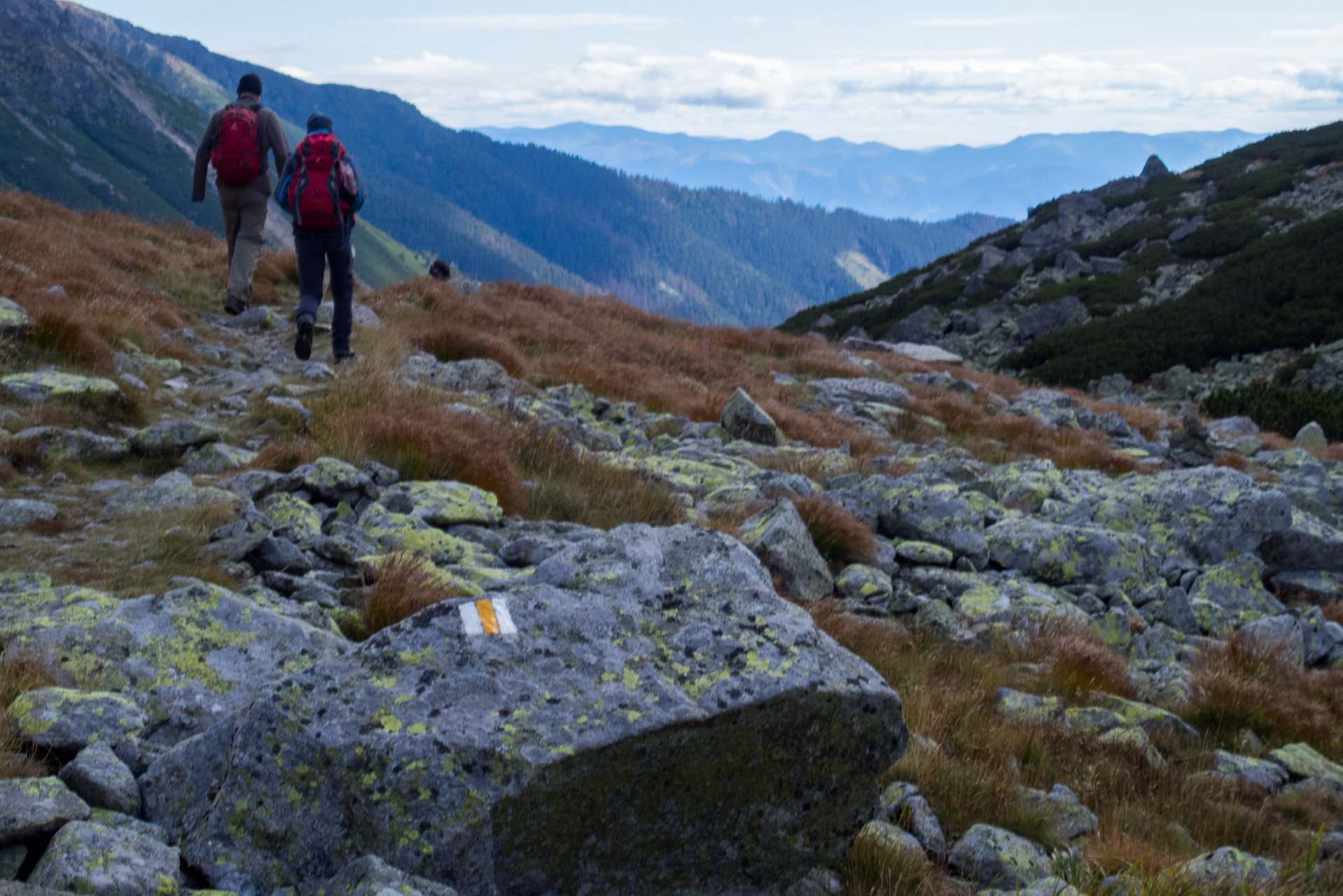 Klin z Račkovej doliny, ATC (Západné Tatry)