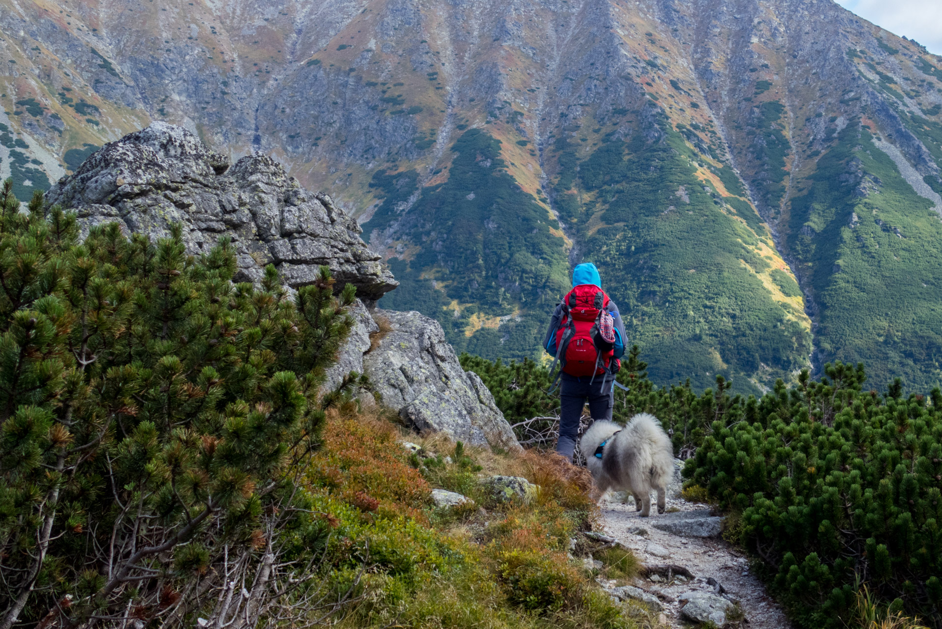 Klin z Račkovej doliny, ATC (Západné Tatry)